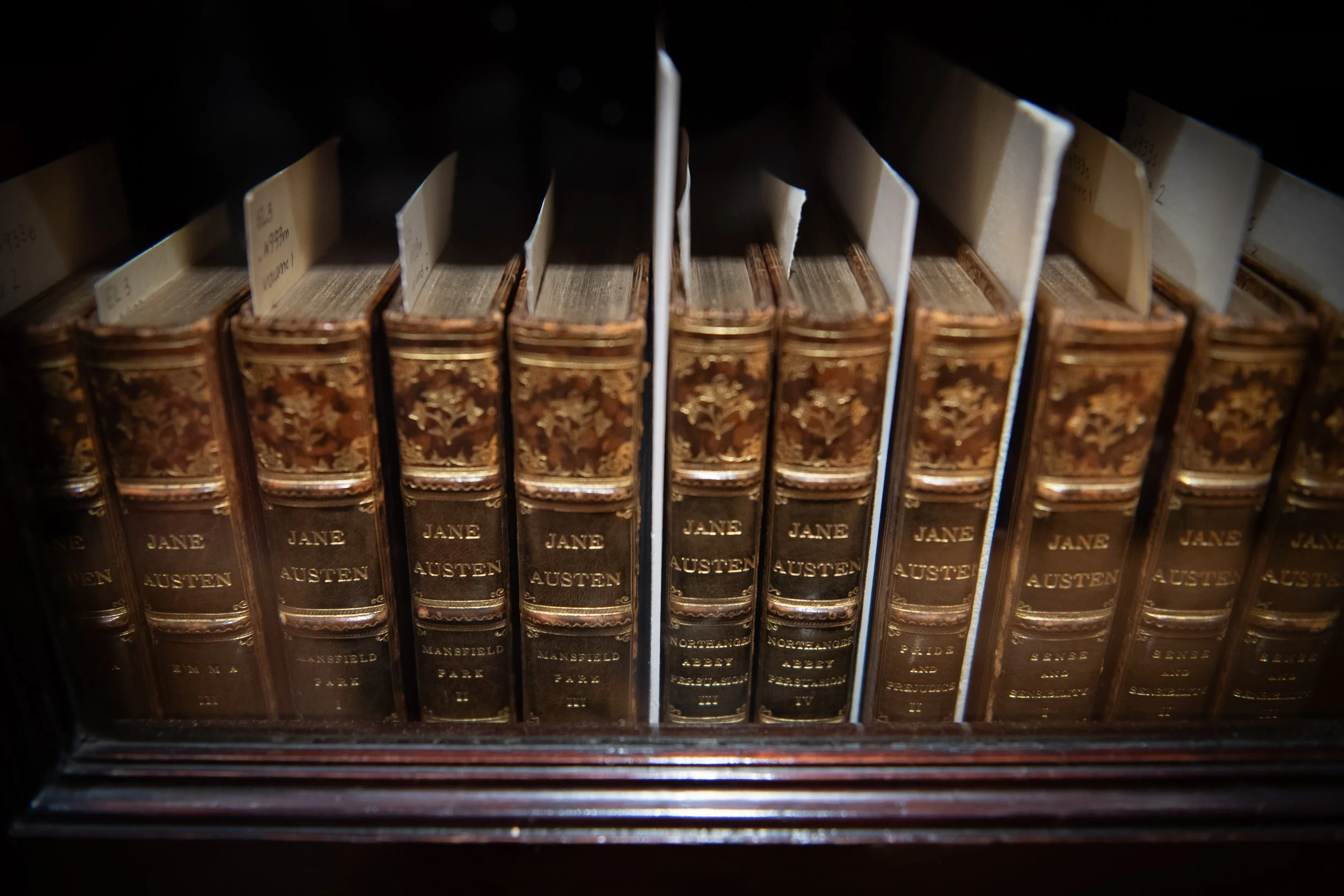 Course | Sense and Sensibility and its Afterlives with Claudia L. Johnson | Virtual