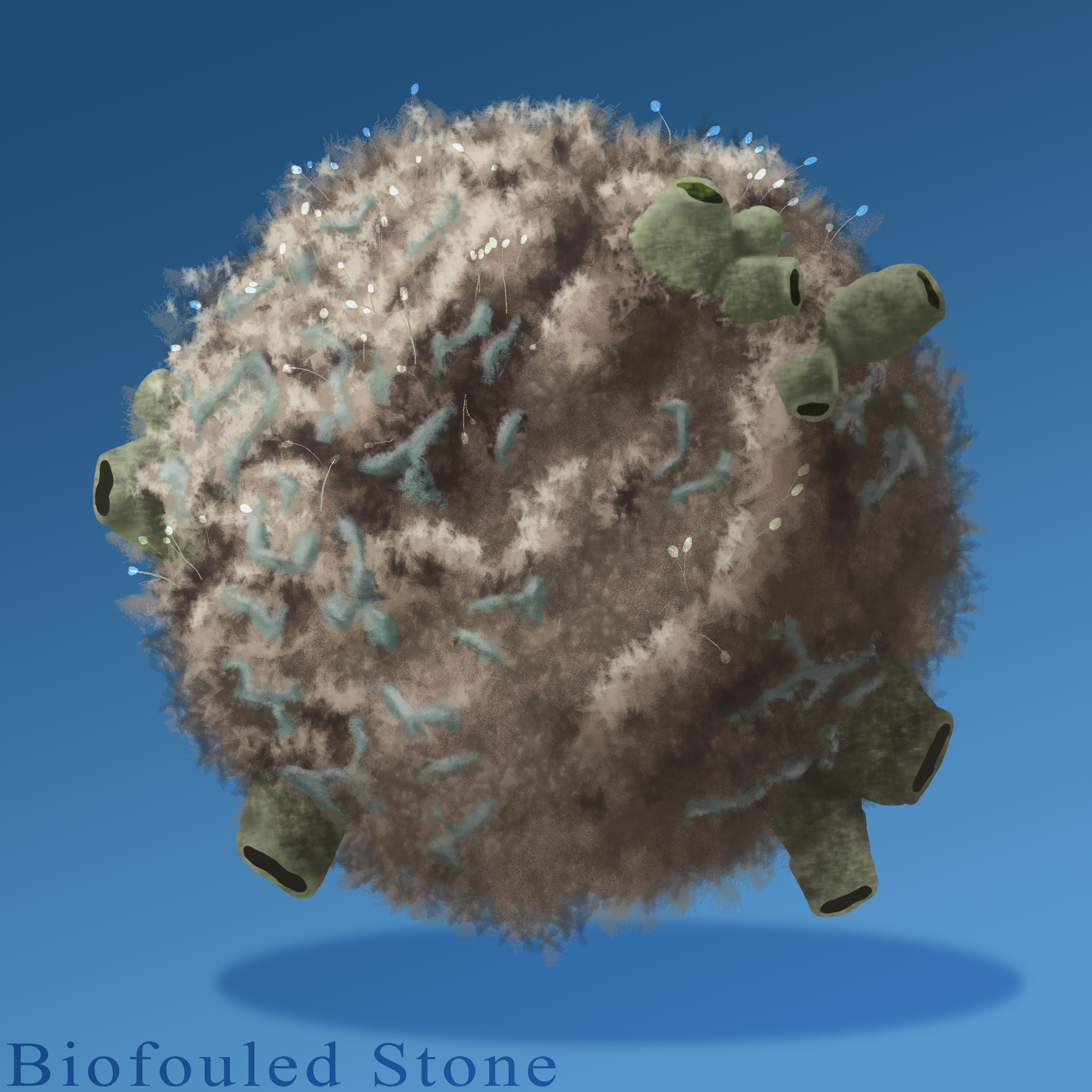 Biofouled Stone.png
