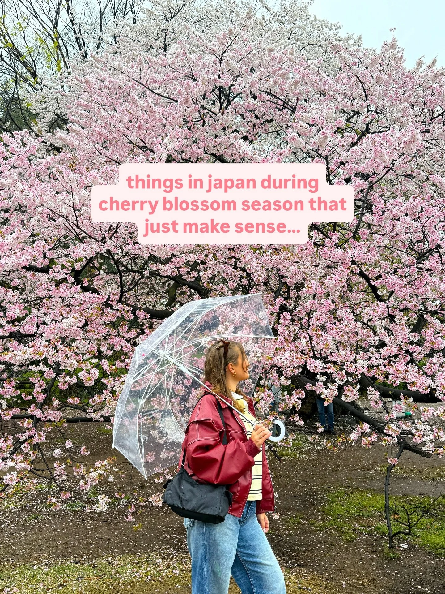 2 month countdown to japan cherry blossom season !!!! 🌸 

if you&rsquo;ve been wanting to visit japan to tick the cherry blossoms off your bucket list but you don&rsquo;t have anyone to go with then this is your sign&hellip; we have 2 trips taking p