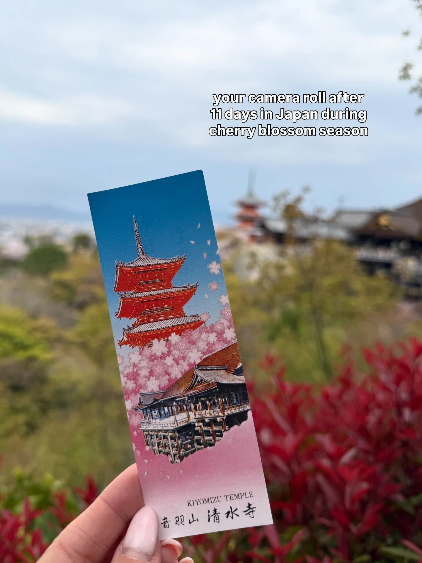 cherry blossom season is fast approaching 🌸 now is the time to get it locked in if you want to see the blossoms bloom🫶

we have tried to time our japan cherry blossom trip the best as we can so you can finally tick those blossoms off your bucket li