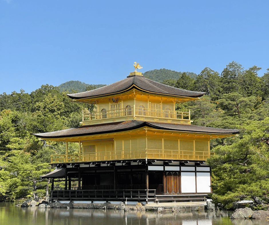 A temple in Japan visited during cherry blossom season, a popular and safe activity for solo female travellers.