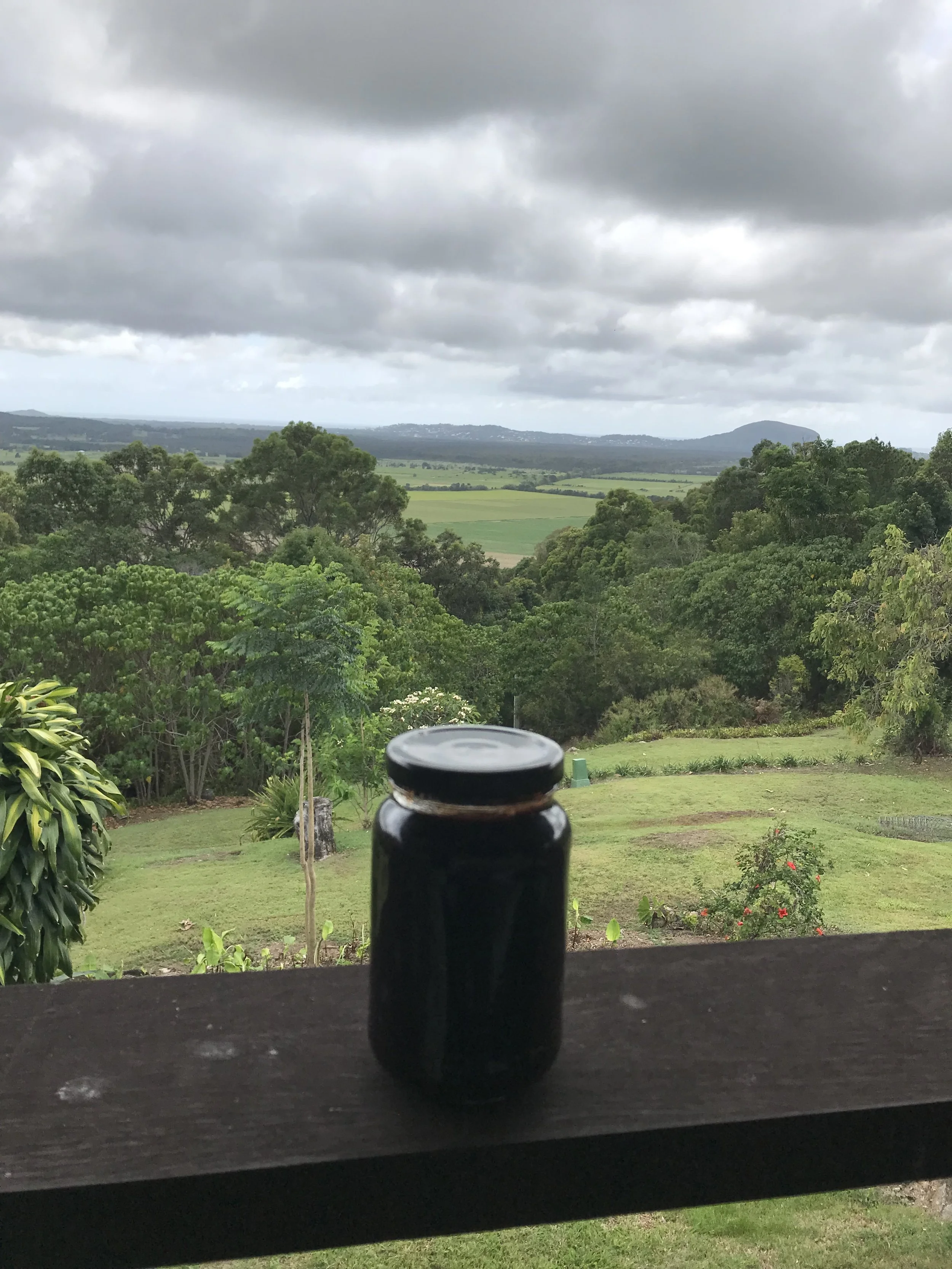 eSKae van Eck 2.jpeg