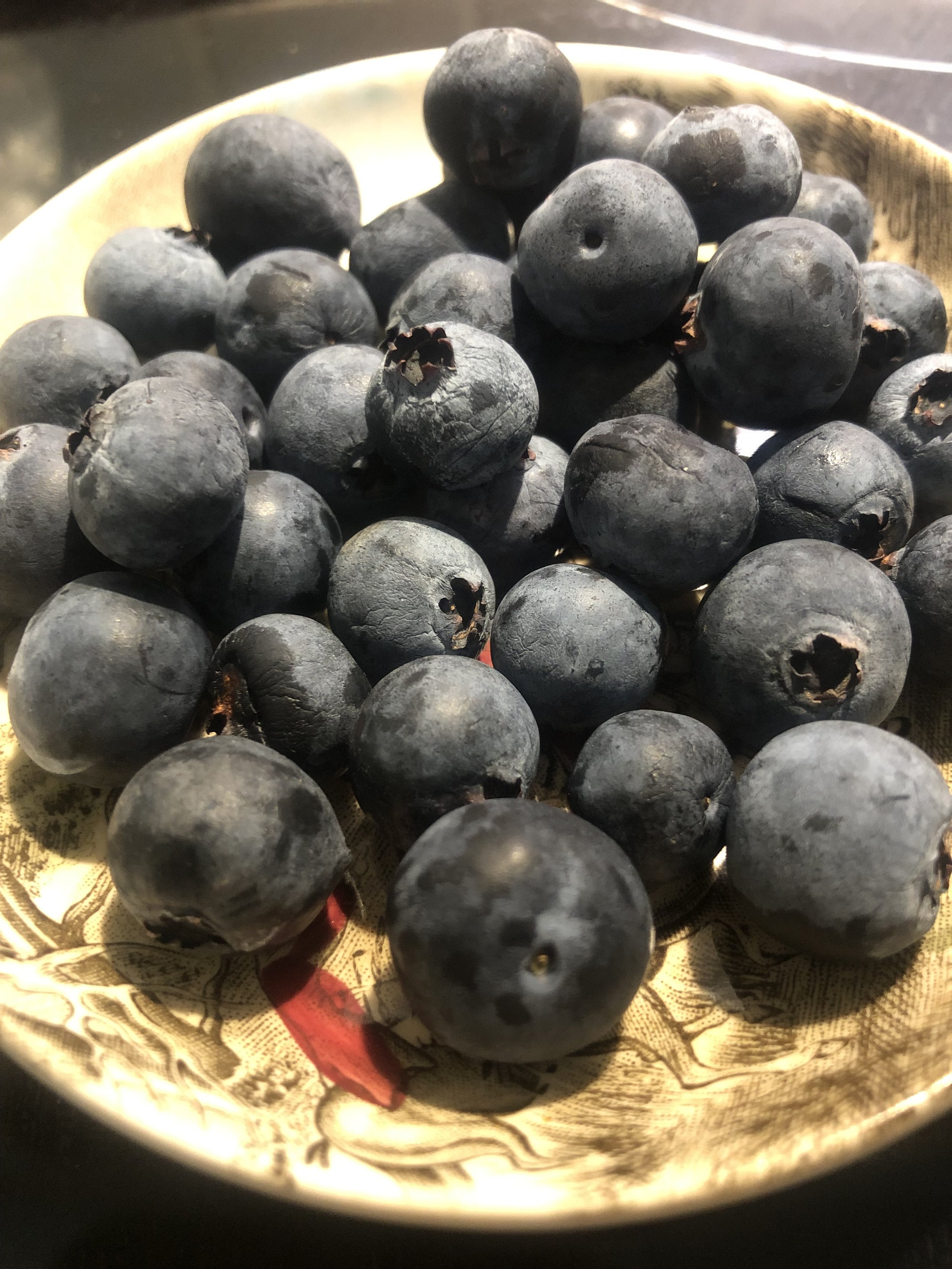 Michelle Farquar.jpeg