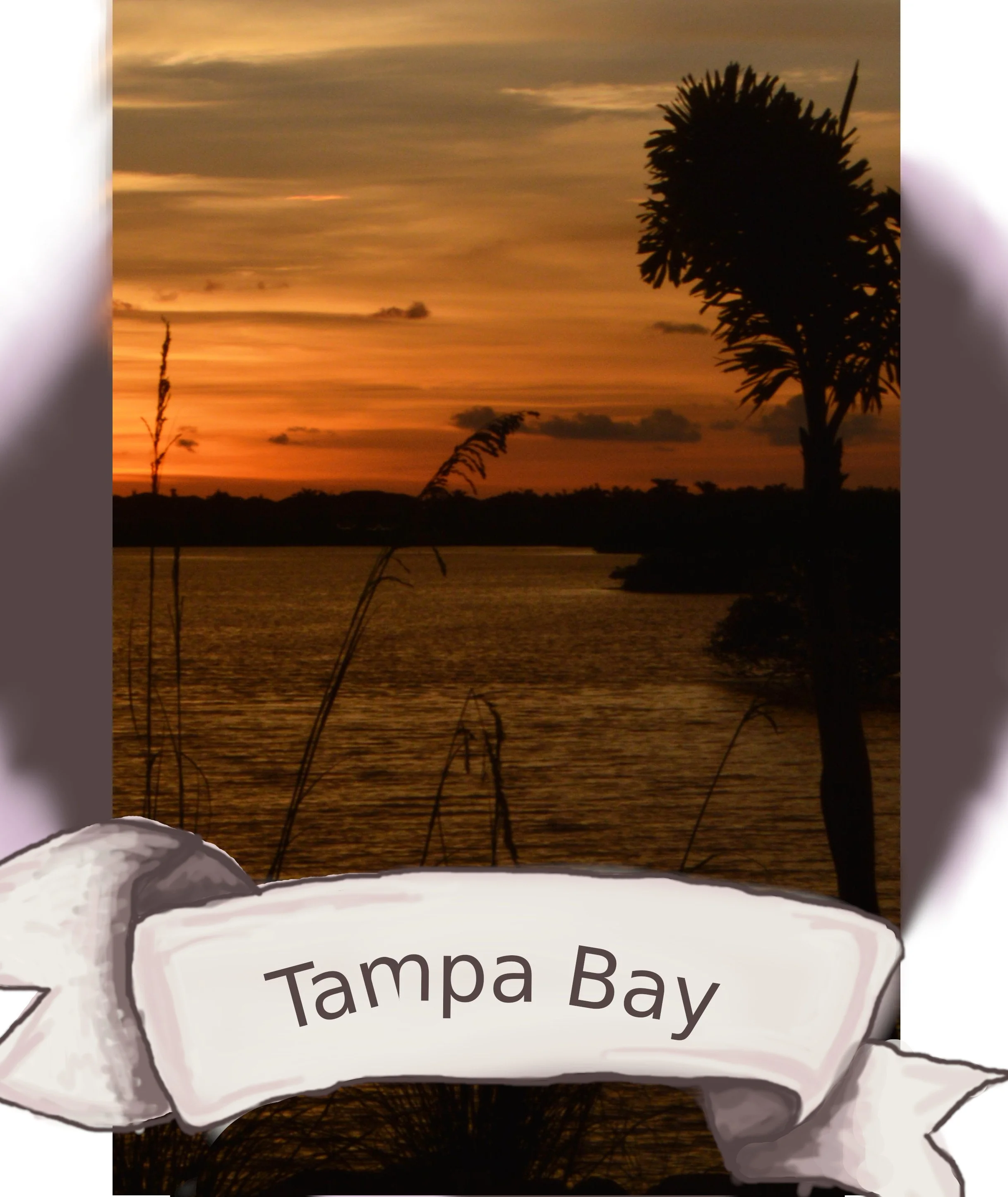 Tampa Bay