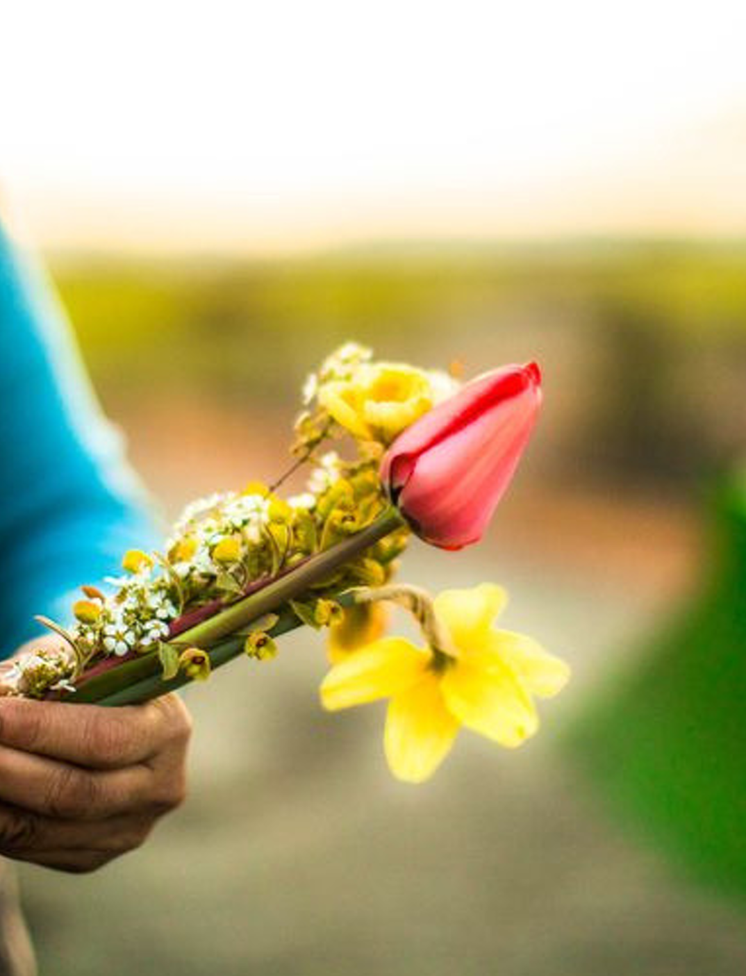 Mano sosteniendo un ramo de flores que incluye una rosa rosada, una orquídea amarilla y pequeñas flores blancas y amarillas, en un fondo desenfocado.