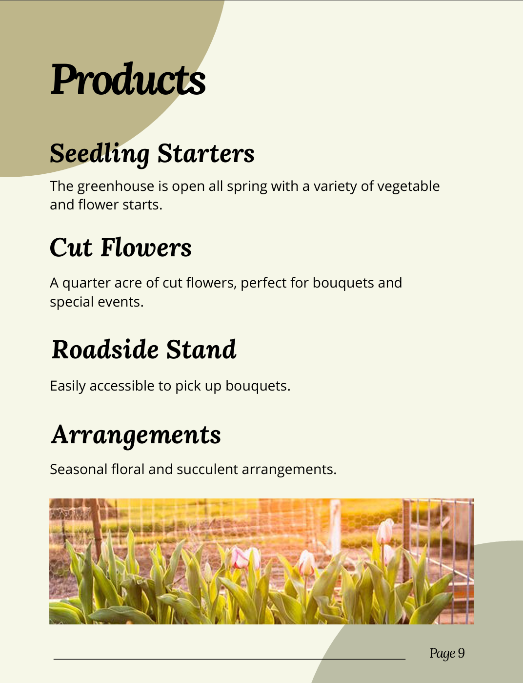 Página de catálogo de productos con lista de iniciadores de siembra, flores cortadas, soporte para flores y arreglos florales, con una foto de tulipanes en un invernadero. Número de página 9.