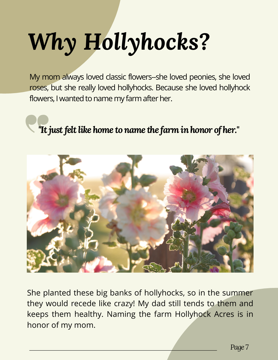 Página de un texto con ilustración de flores de color rosa y blanco, y texto en español que explica la historia de una granja llamada Hollyhock Acres, nombrada en honor a los caléndulas llamadas hollyhocks.