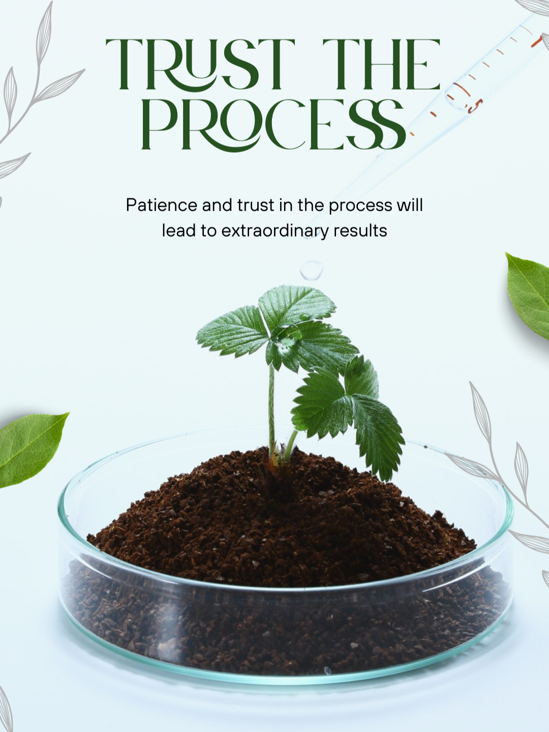 Trust the Process… 