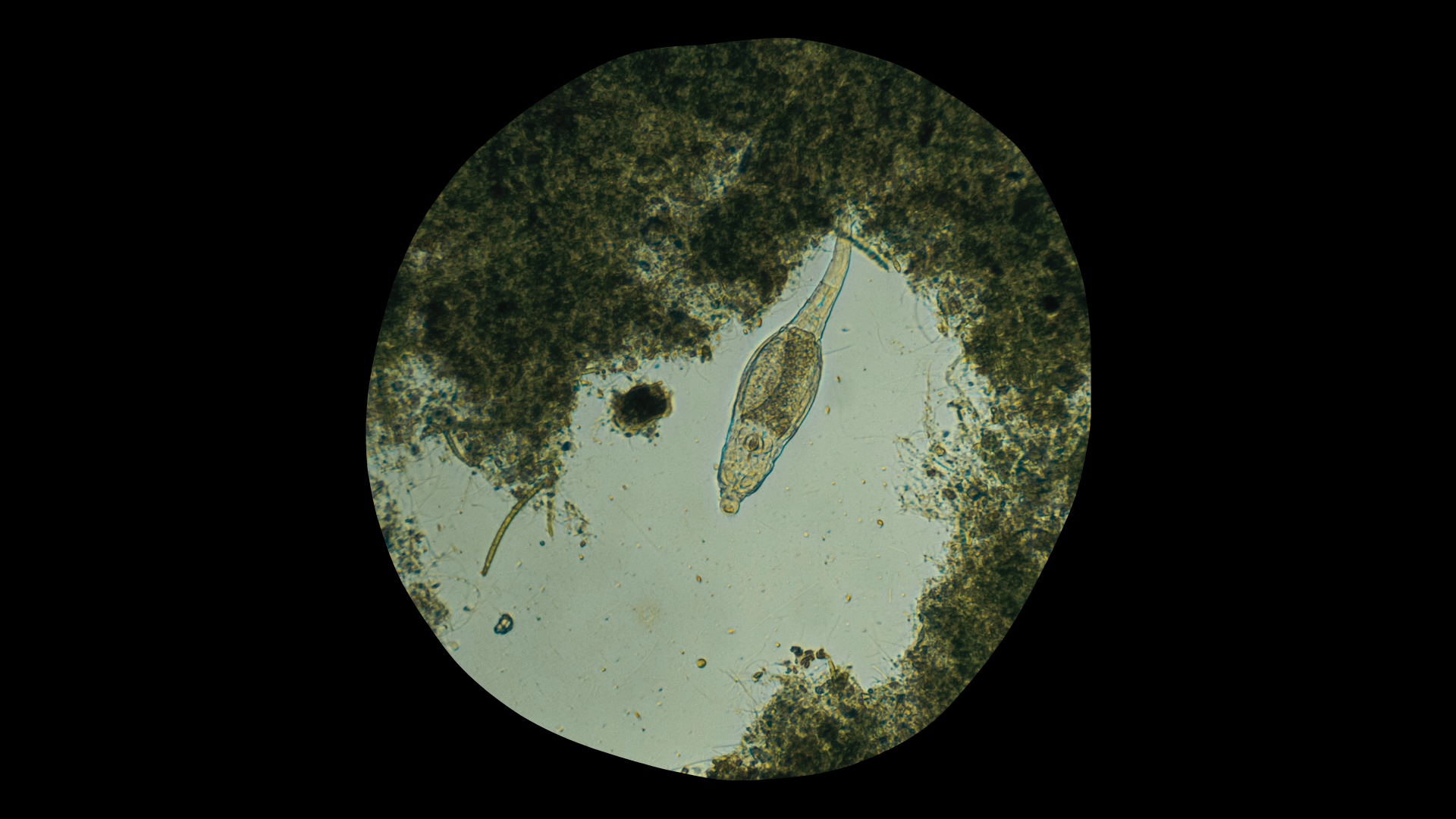 A (Very Polluted) River Runs Through It