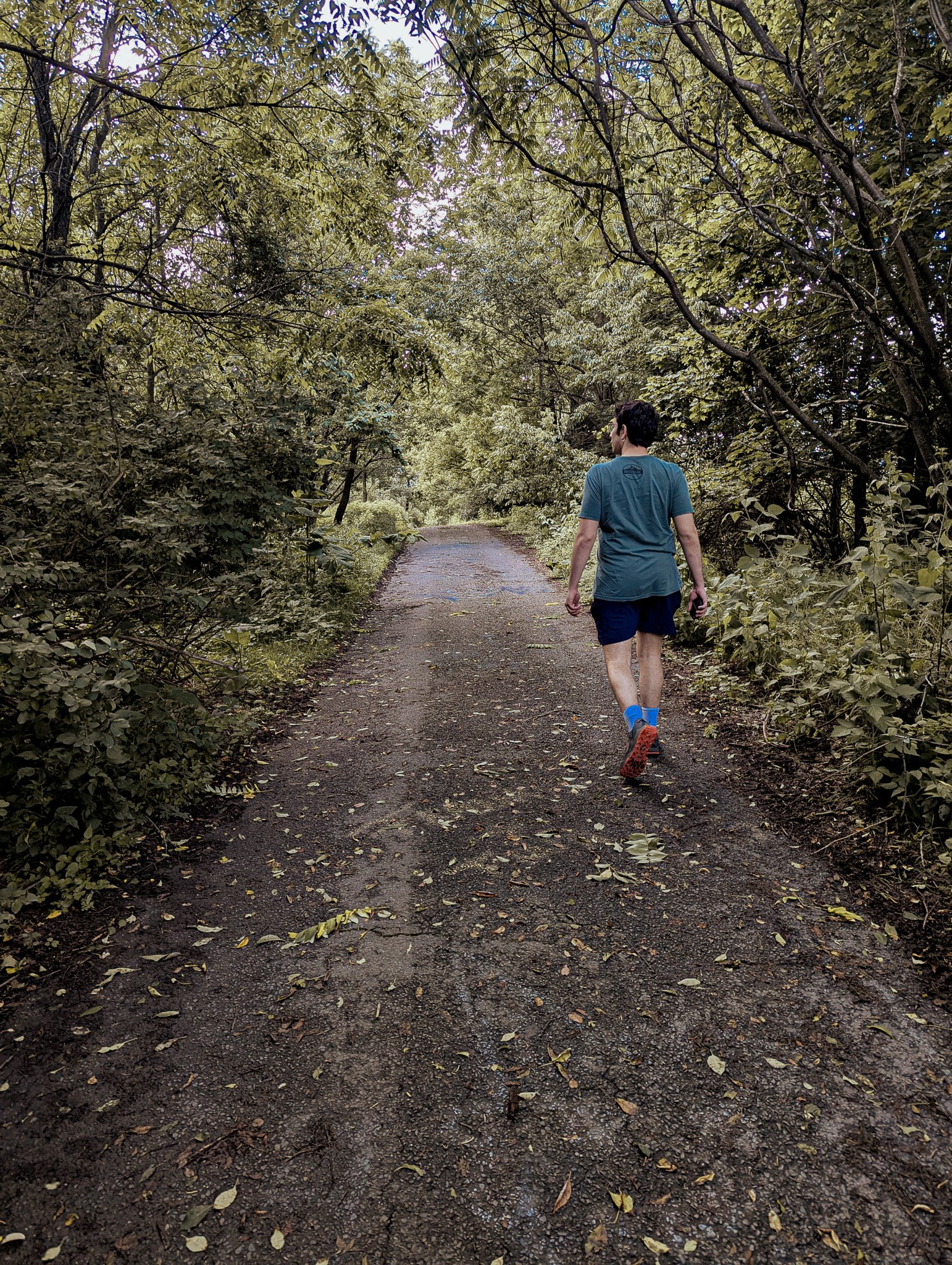 A trail through the largely abandoned borough, which is gradually being retaken by the forest.