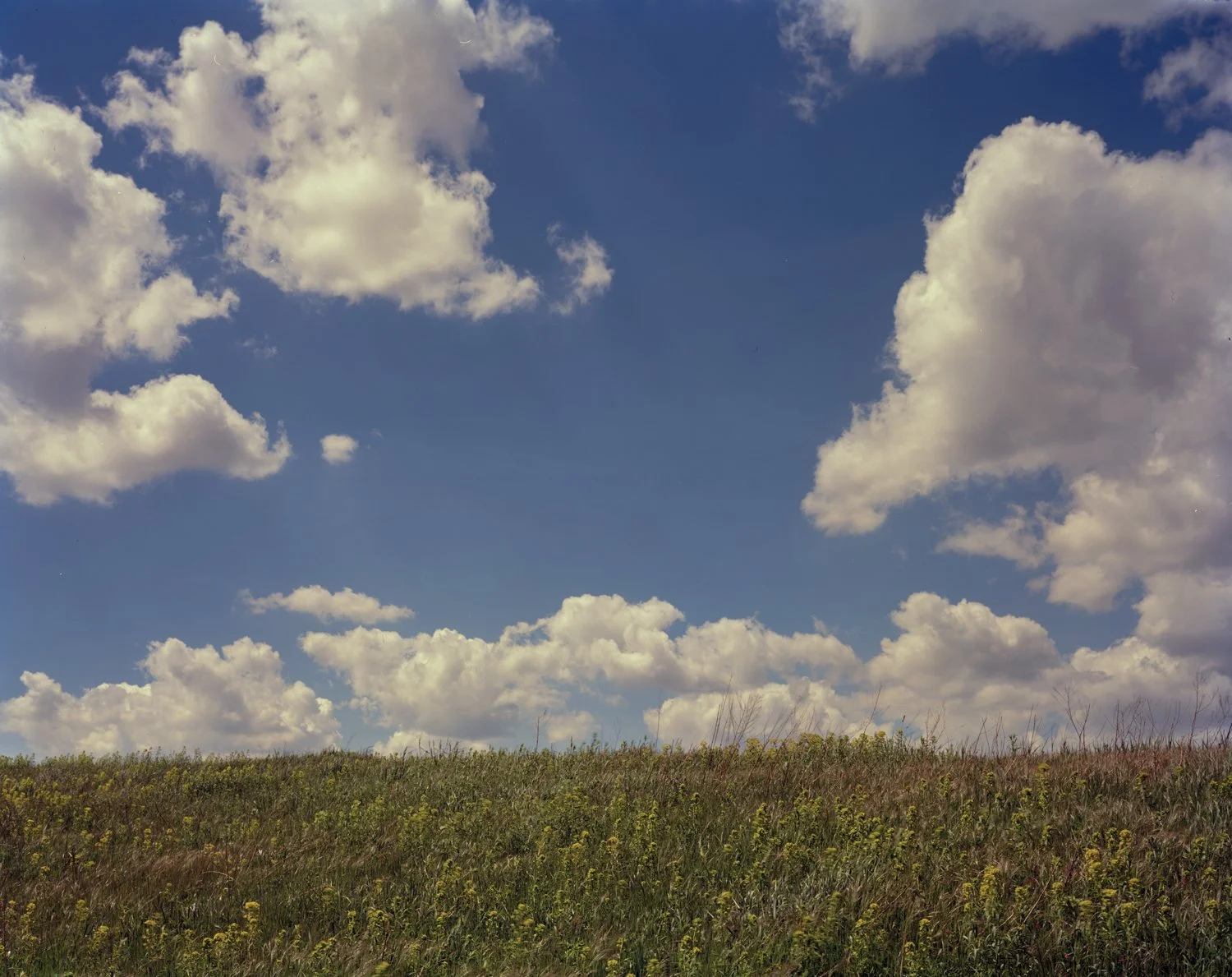 Jade-Doskow-Freshkills-20240501-FK-03-C-web.jpg