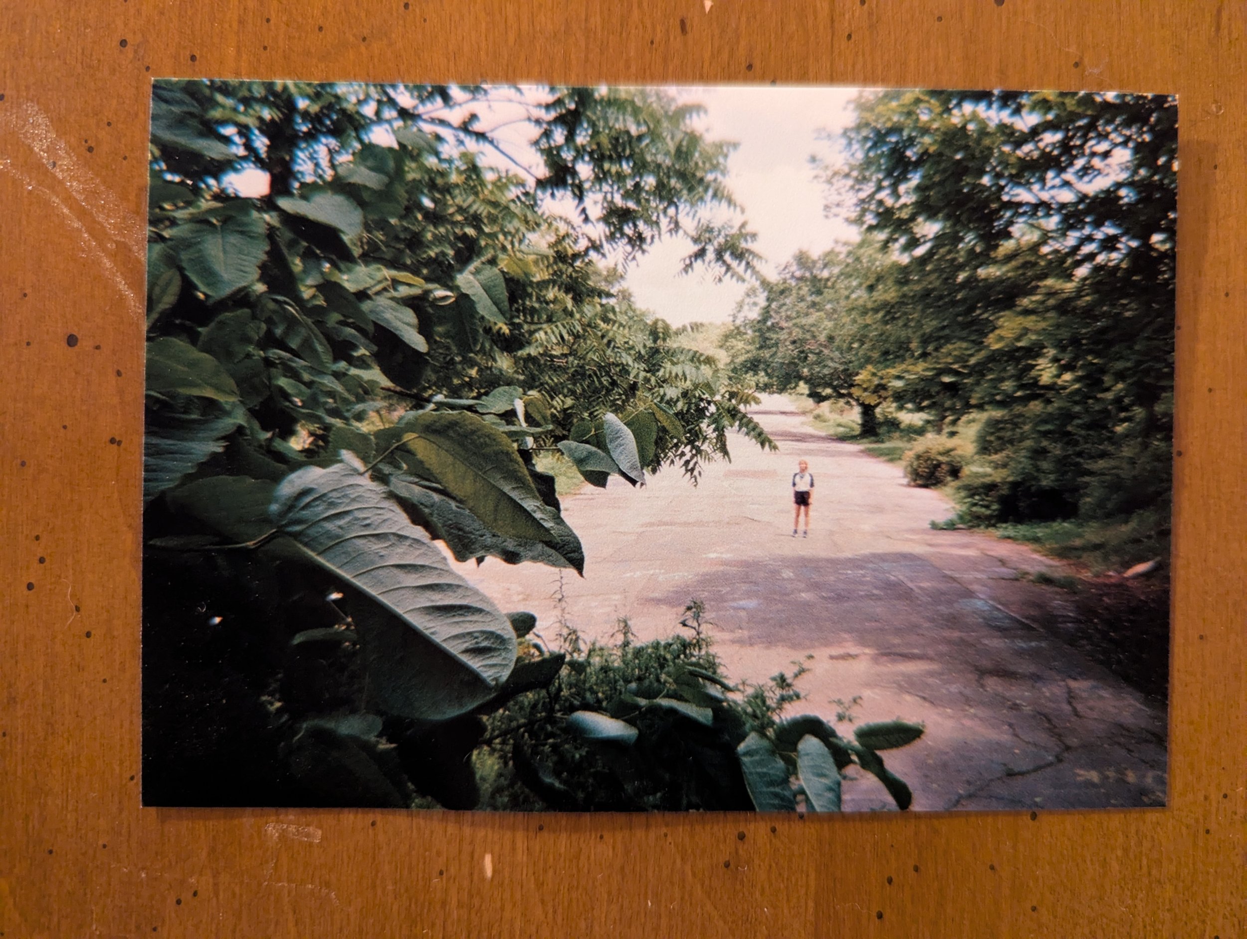 The Vagabond's Verse