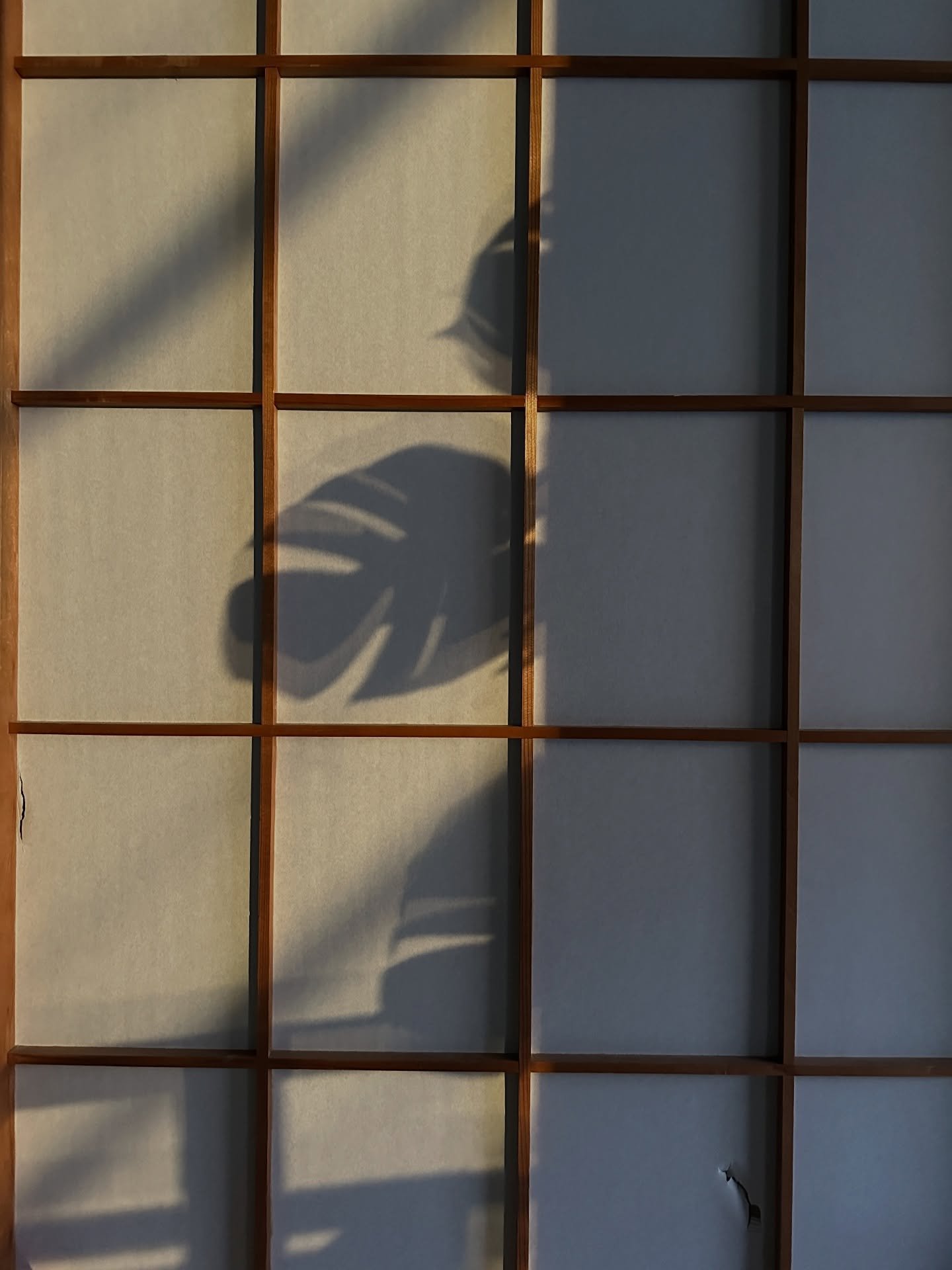 Shizen Yoga studio ✨ The most special place in Nozawa onsen. Soft, slow, flowy. A place to feel and move like yourself. Everything is Yoga
.
#nozawaonsen #yogastudio #japan @spiritualpretzel