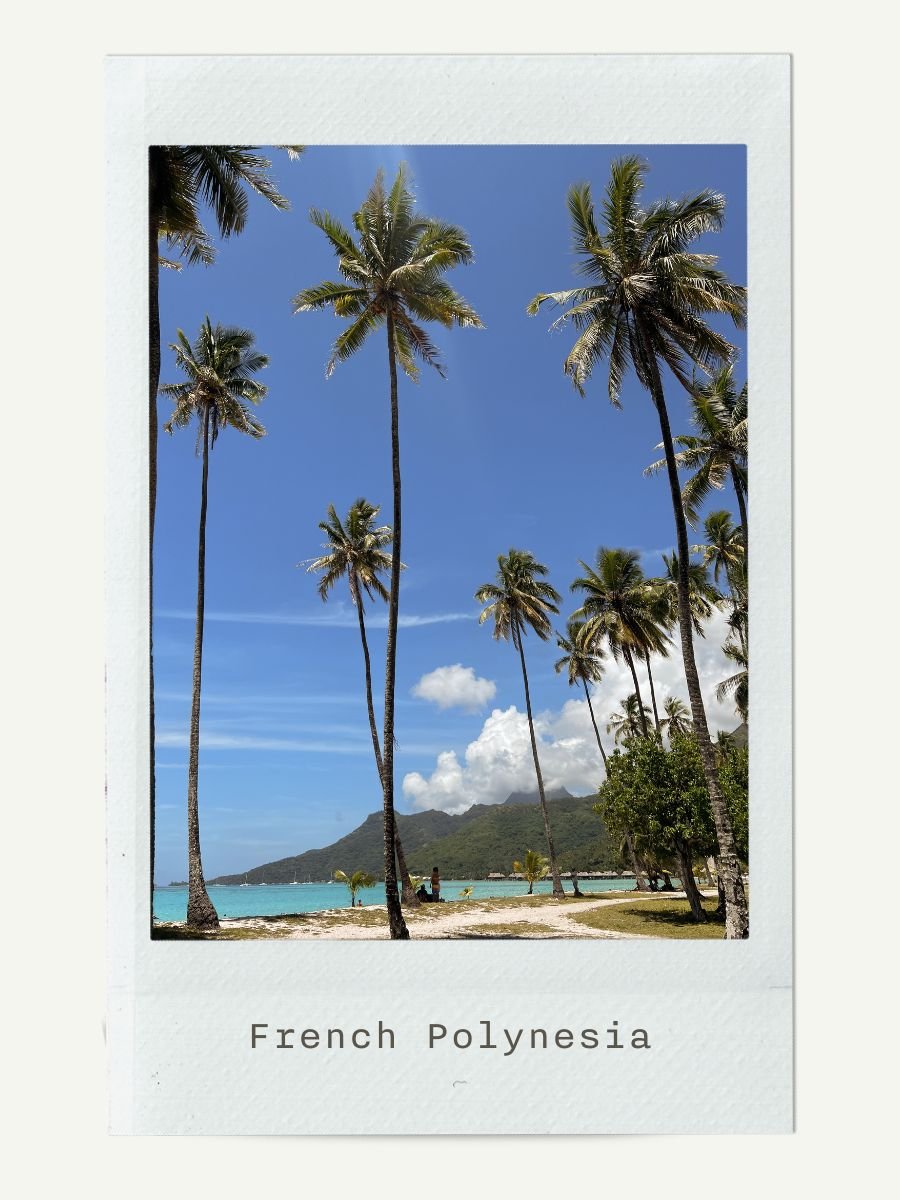Tropical scene with tall palm trees on a sandy beach, blue ocean, and mountainous background in French Polynesia.