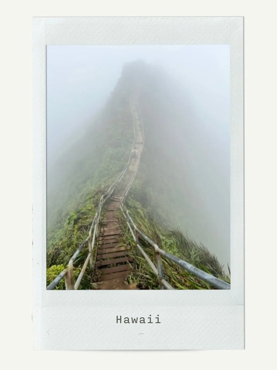 A narrow wooden and metal pathway on a mountain or cliffside shrouded in dense fog, with lush green vegetation nearby. The scene has a mystical and foggy atmosphere, typical of a rainforest or mountain trail in Hawaii.