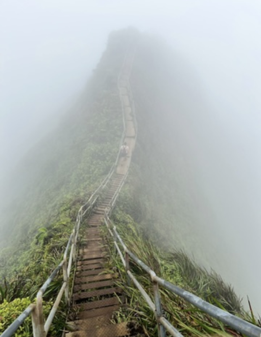 A narrow mountain trail in Hawaii with metal railings snakes along the edge of a foggy, lush green hillside.