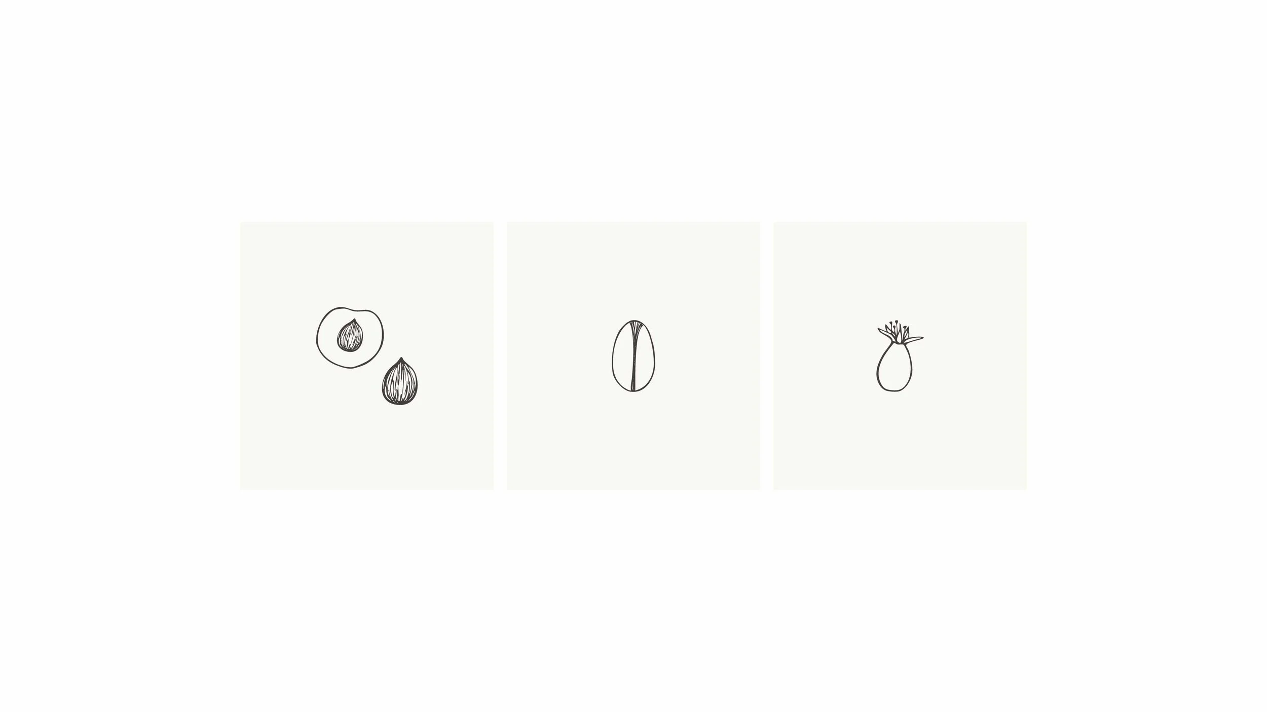 VEG_packaging design_illustrations_3mdpi.jpg