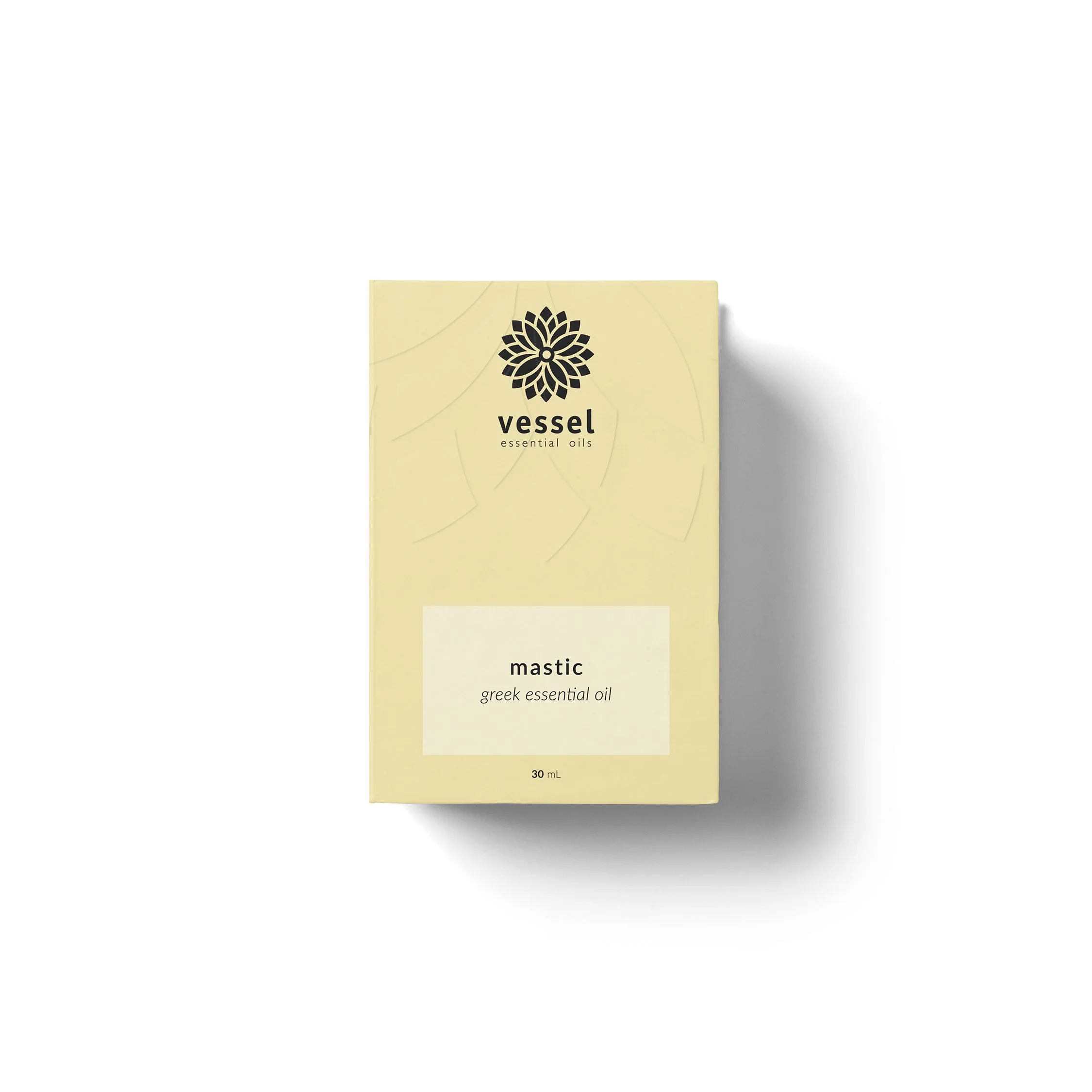 Box Mockup_Mastic.jpg