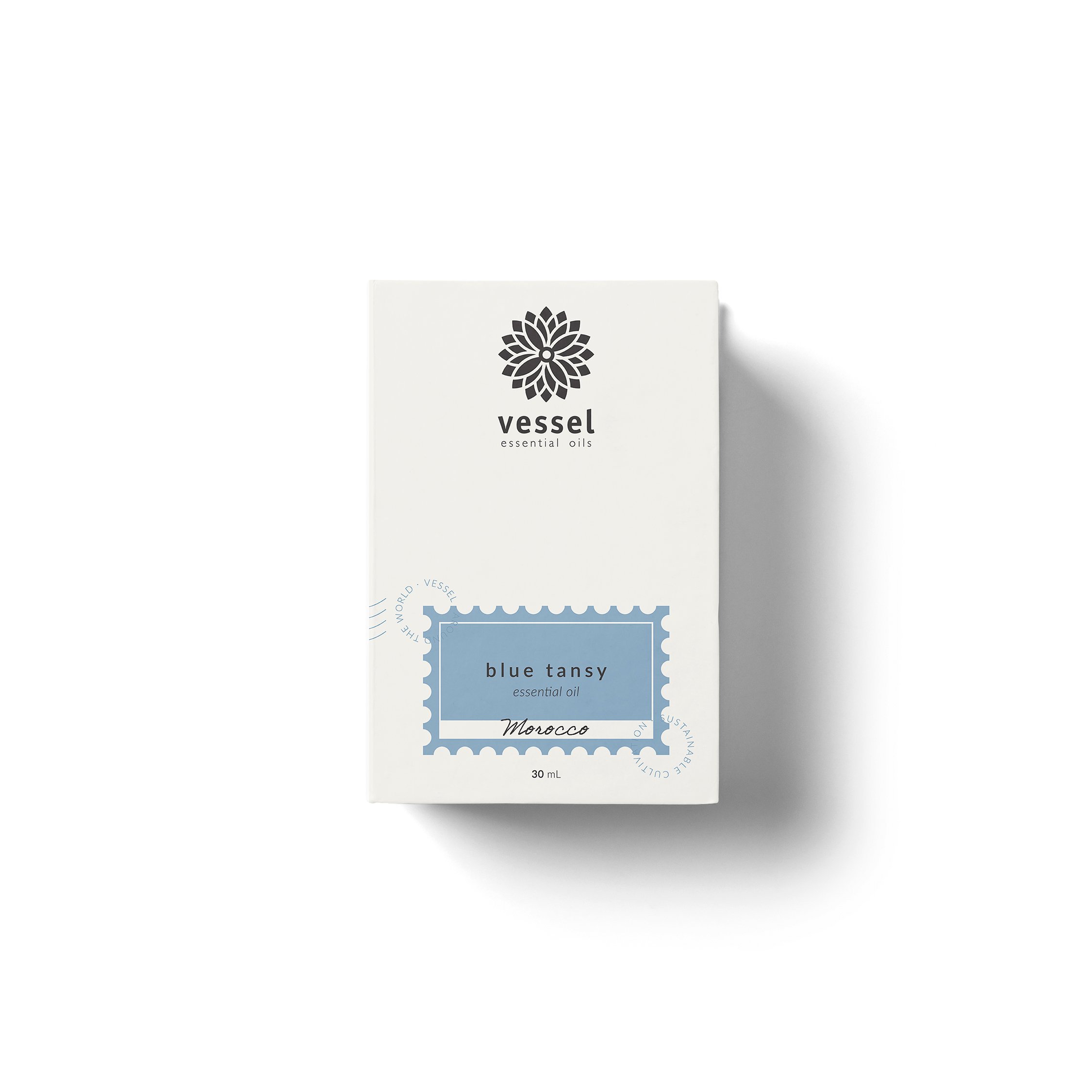 Mockup_Blue tansy.jpg