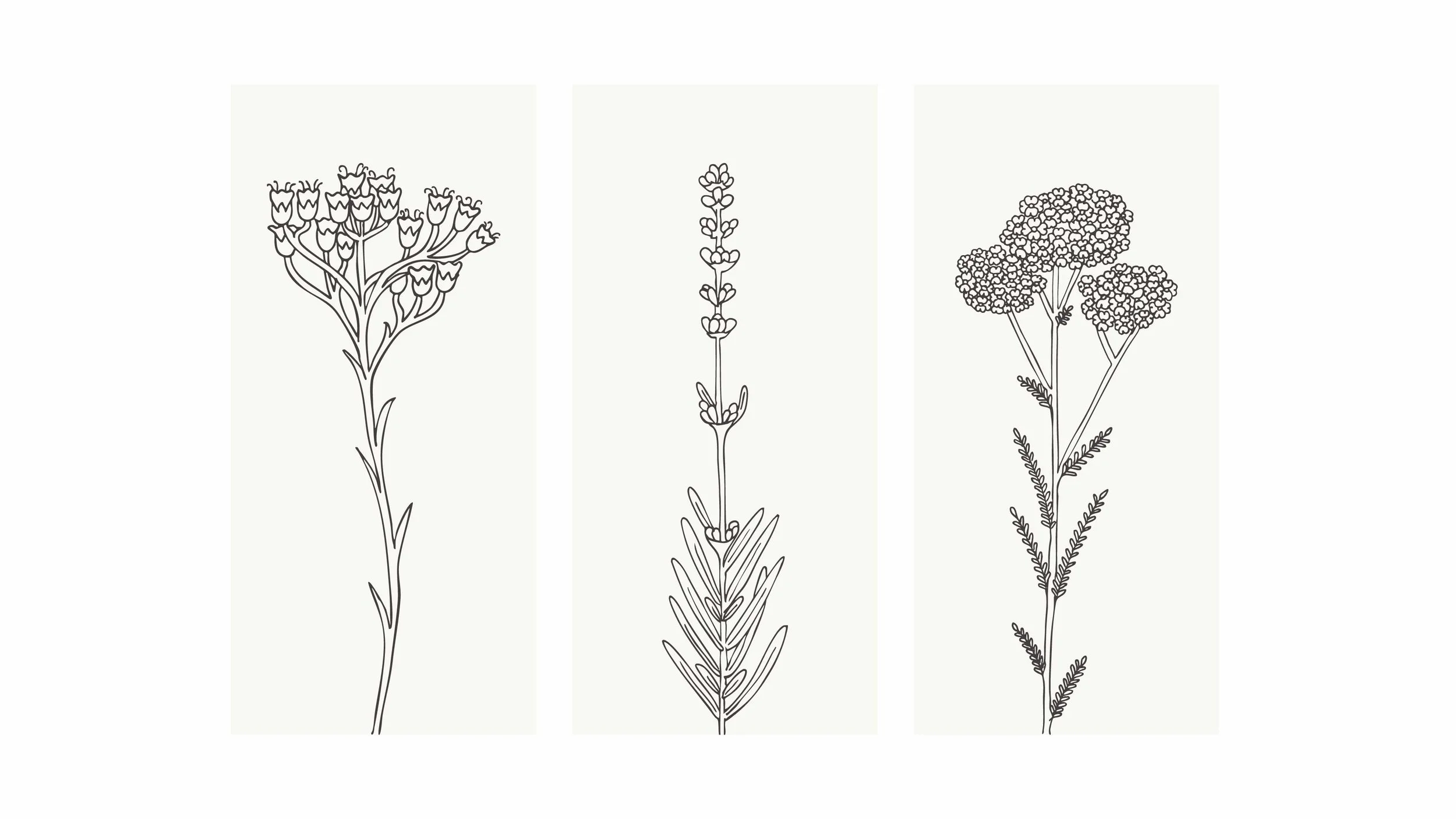 MAC_packaging design_illustrations_1.jpg