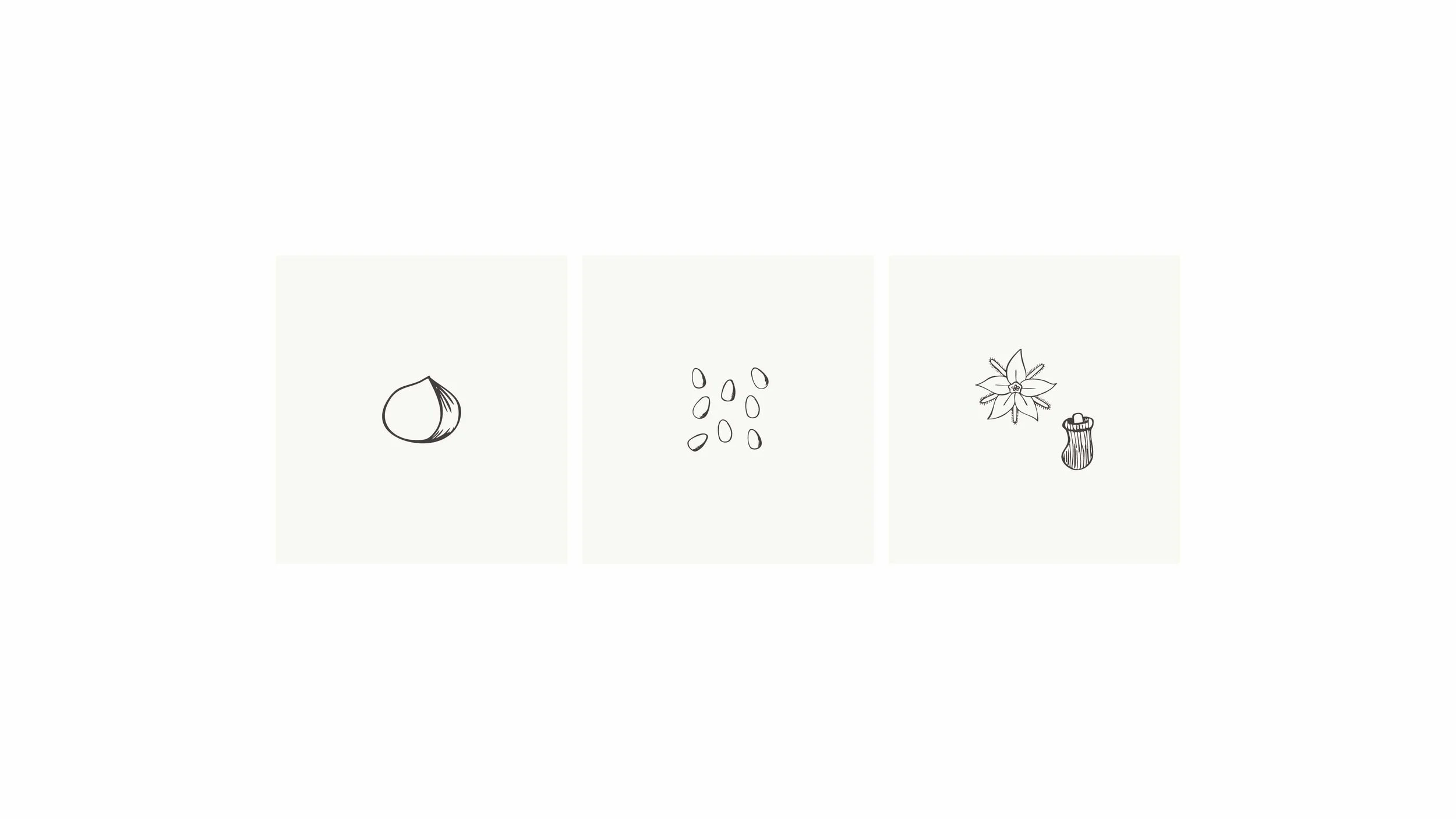 VEG_packaging design_illustrations_4mdpi.jpg