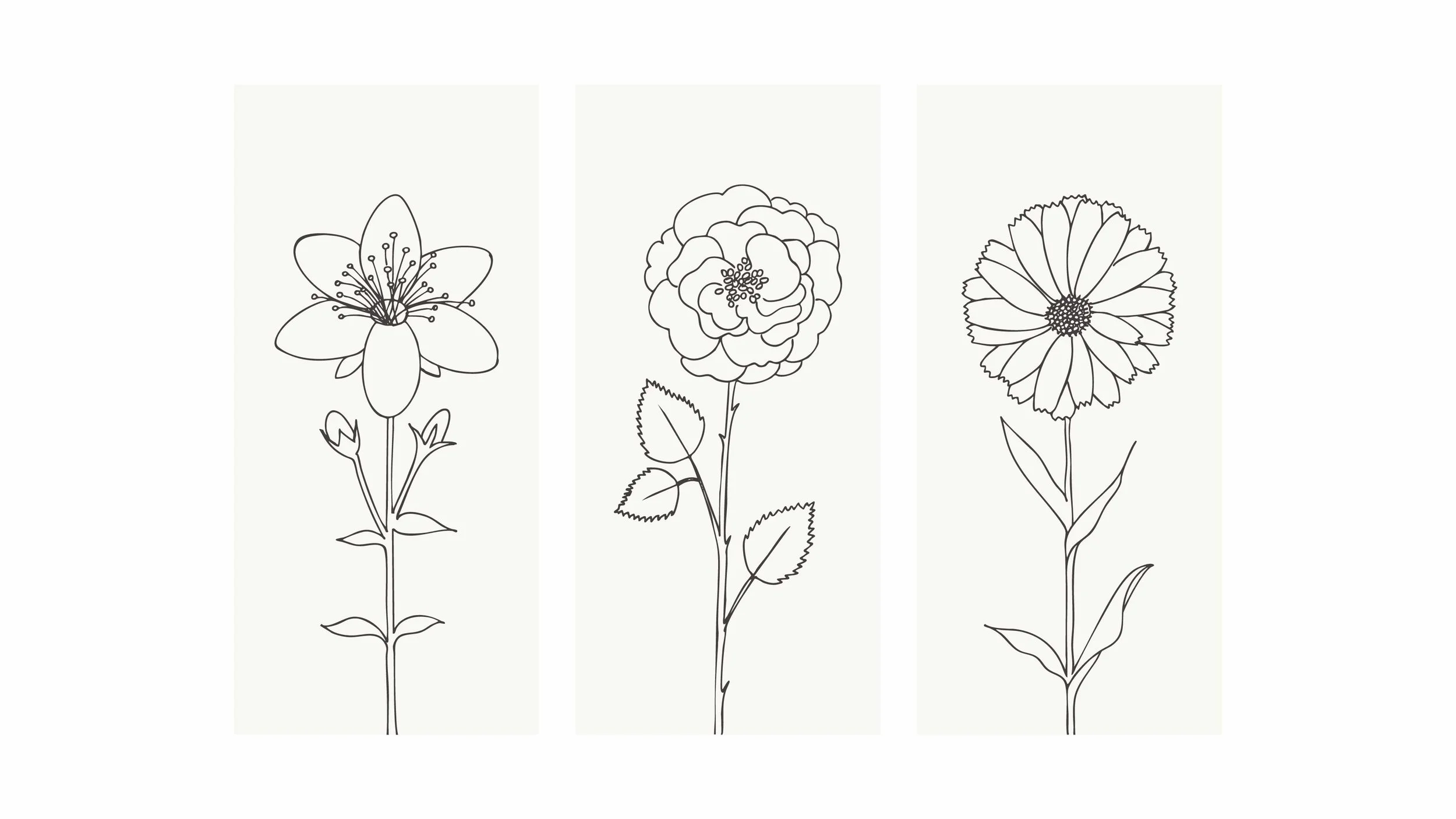 MAC_packaging design_illustrations_3.jpg