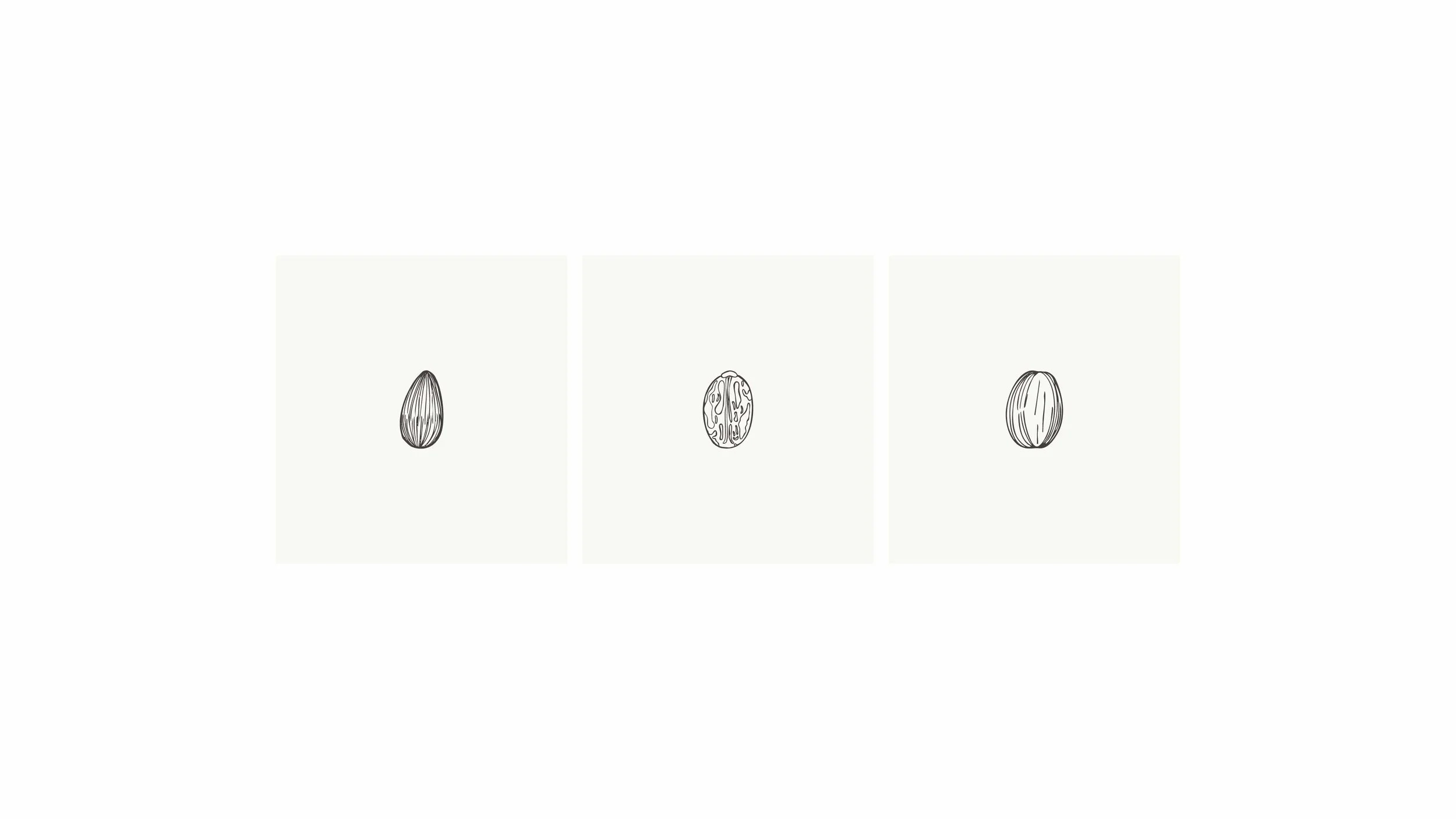 VEG_packaging design_illustrations_1mdpi.jpg