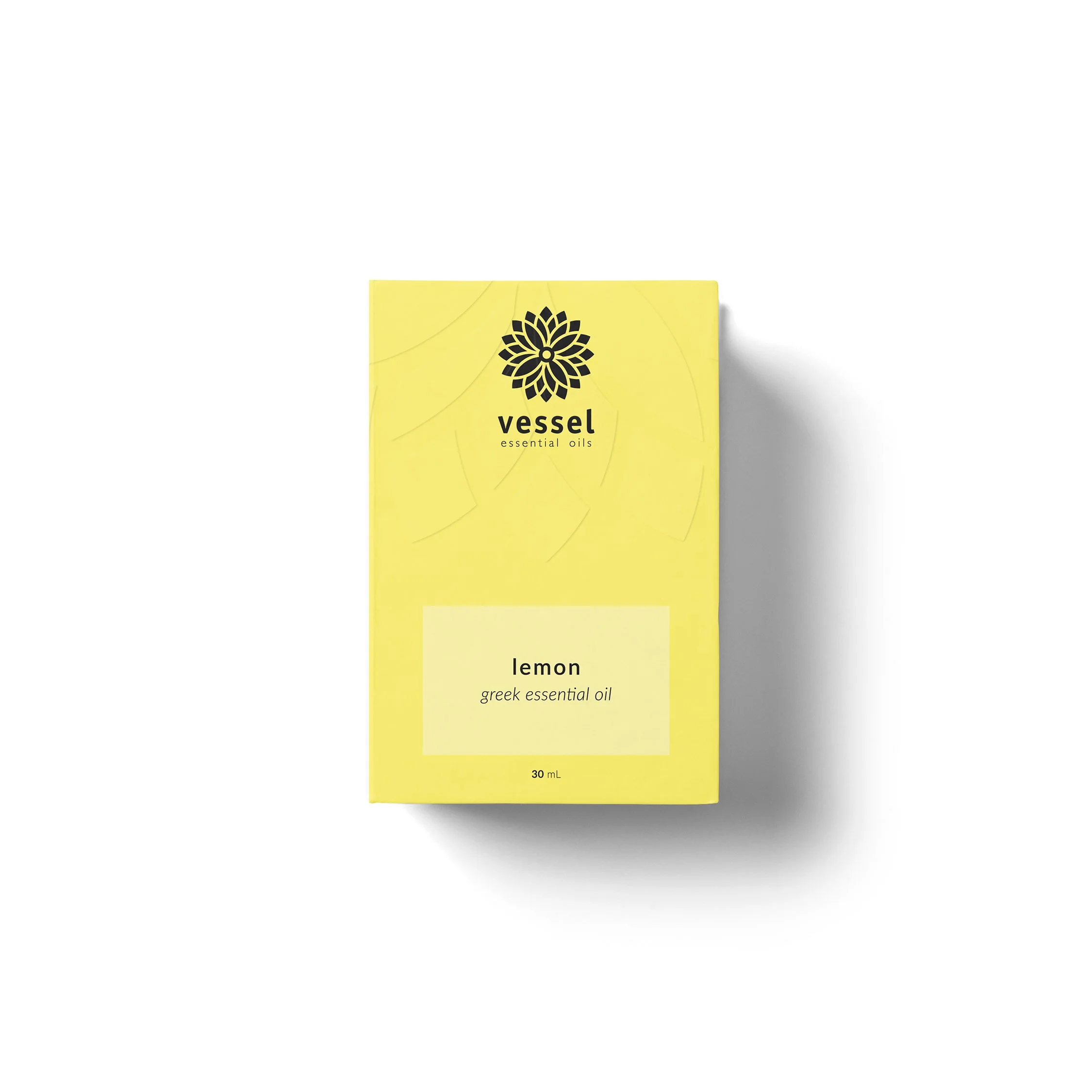 Box Mockup_Lemon.jpg