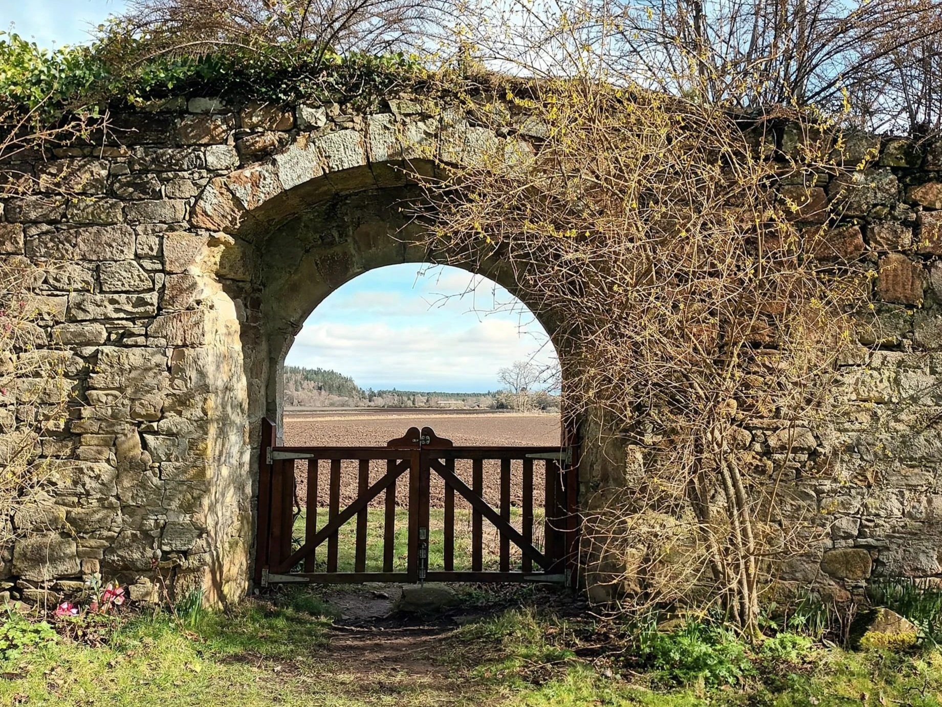 Tiamet and the 10th Gate