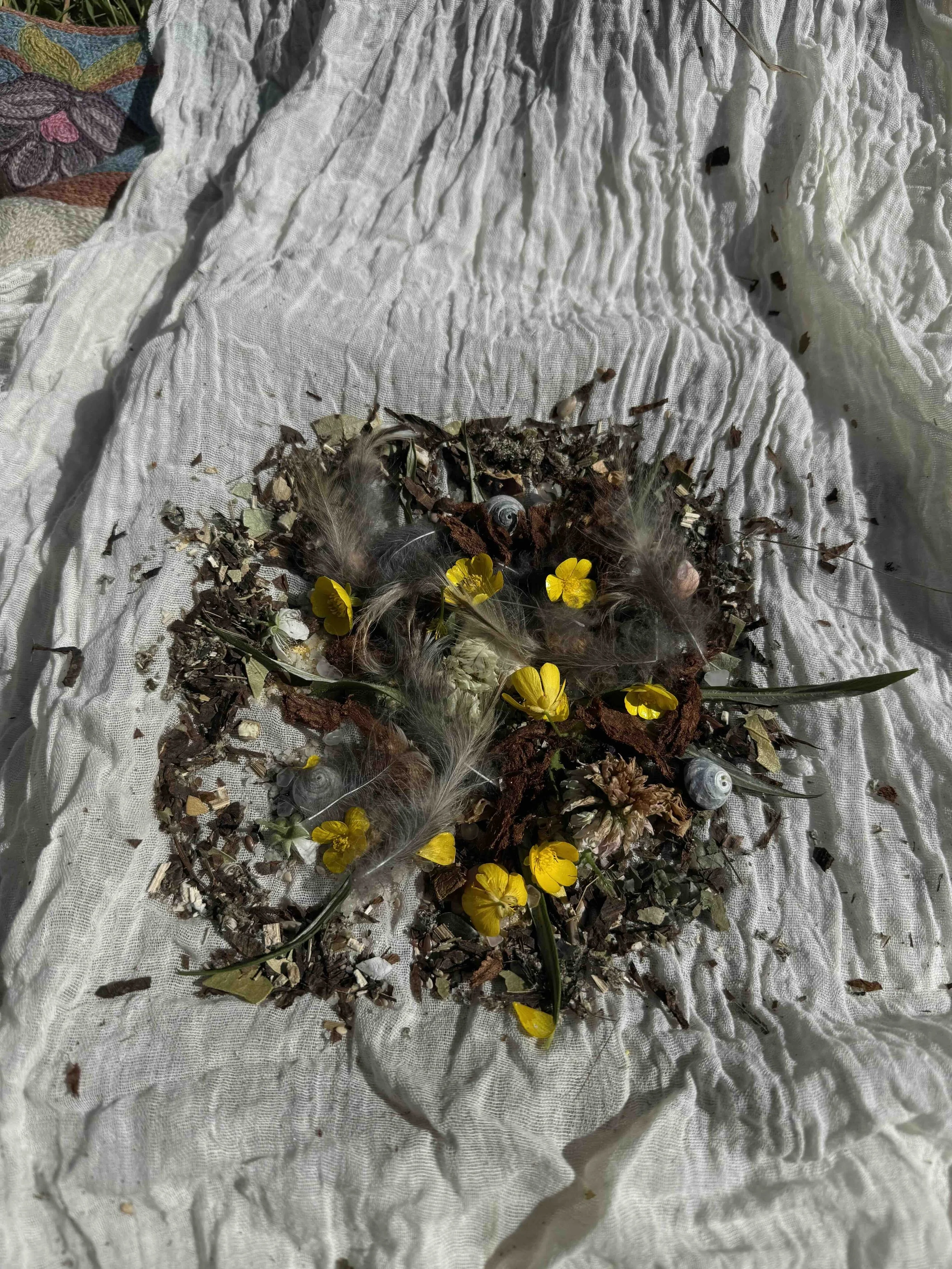 19. Buttercups called to be added and felt like an initial answer to my prayers. See my Blog Post 'The Resilience of Joy'