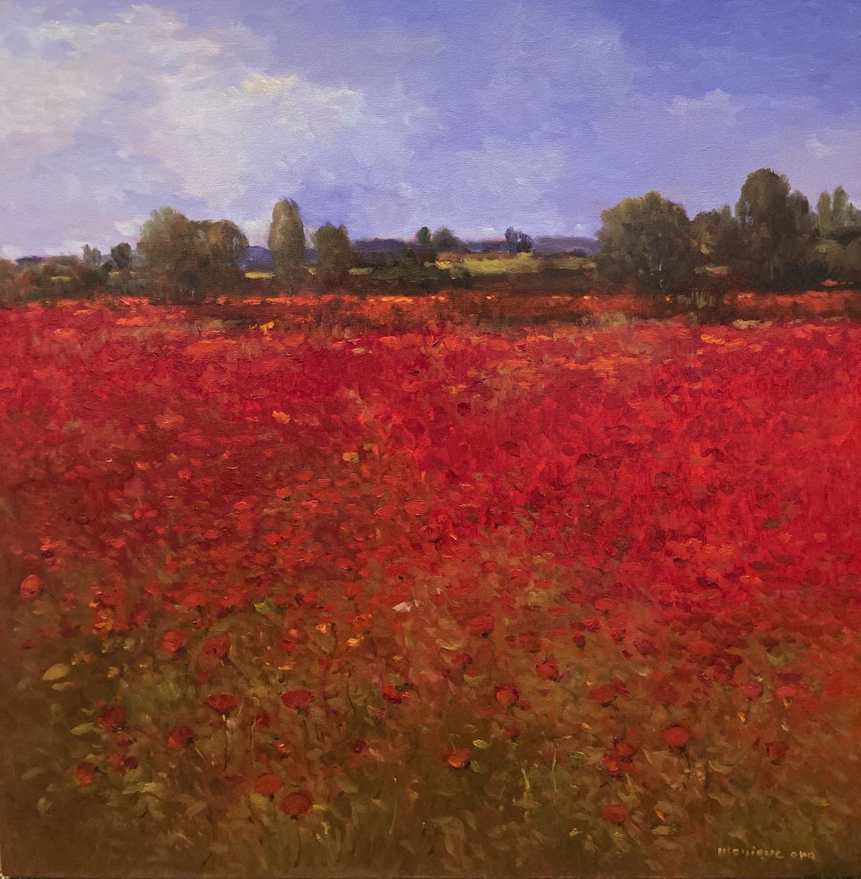 Poppies Forever, 30x30.jpeg