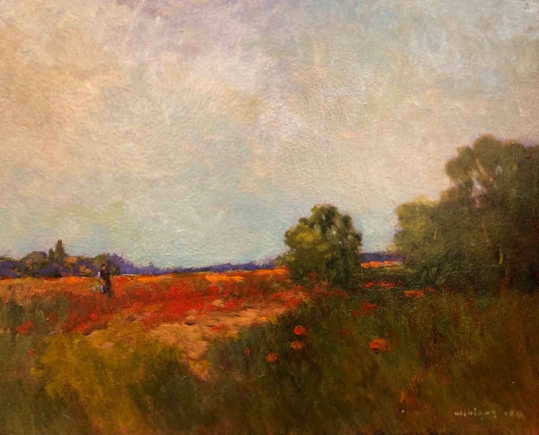 California Poppies, 14x18.jpeg