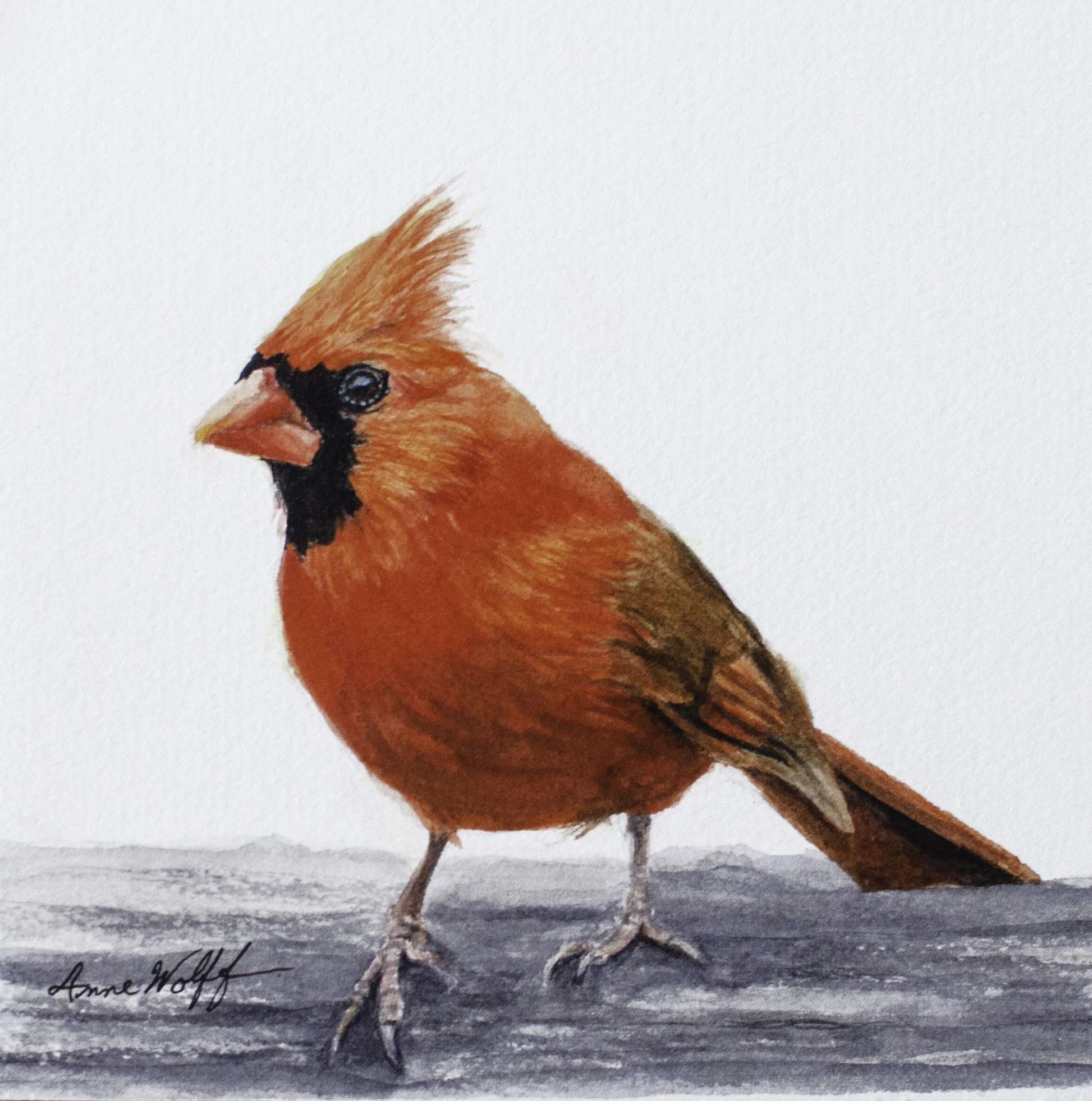 Cardinal on Log, 6x6