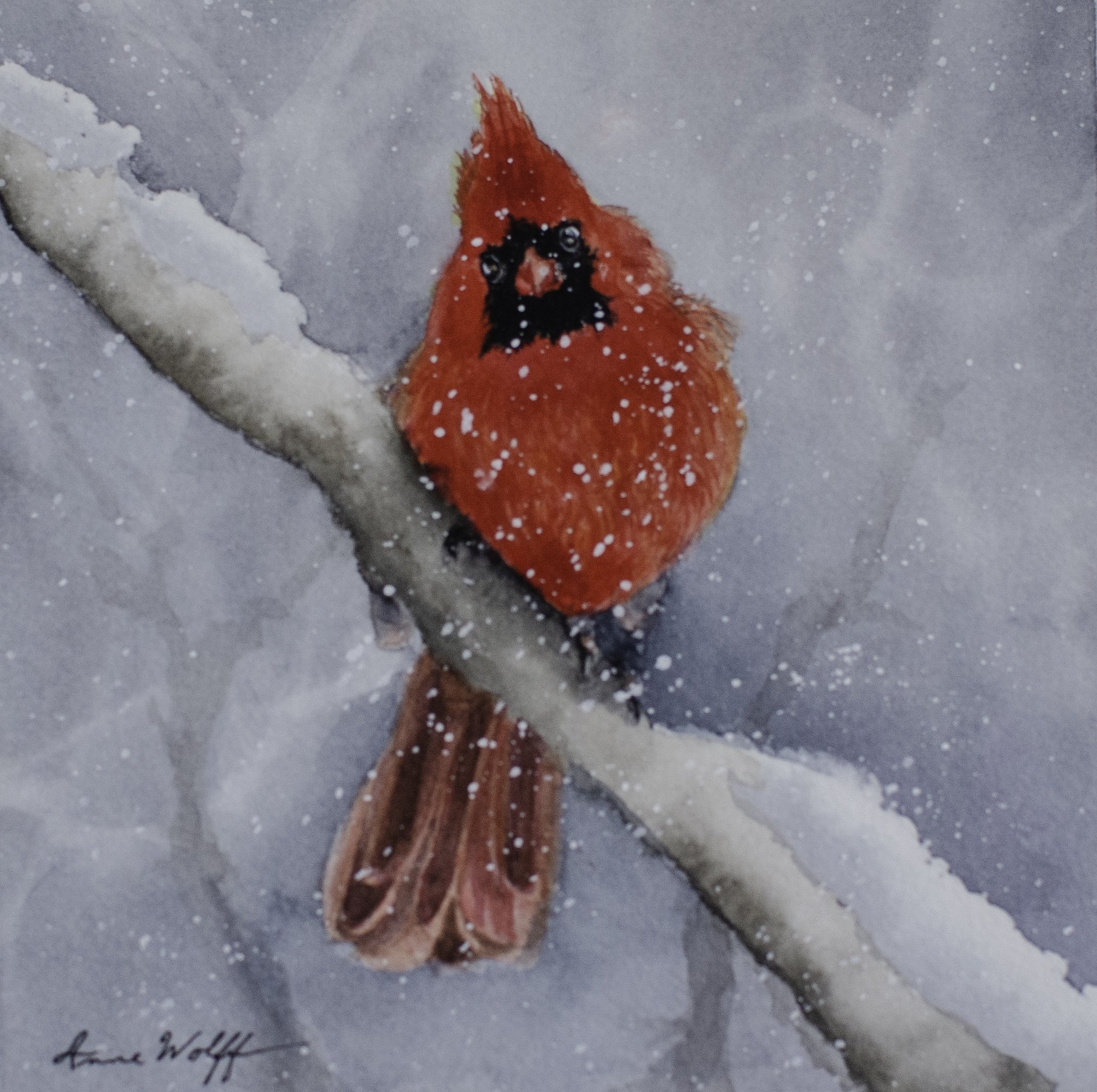 Cardinal in Snow 1.jpg