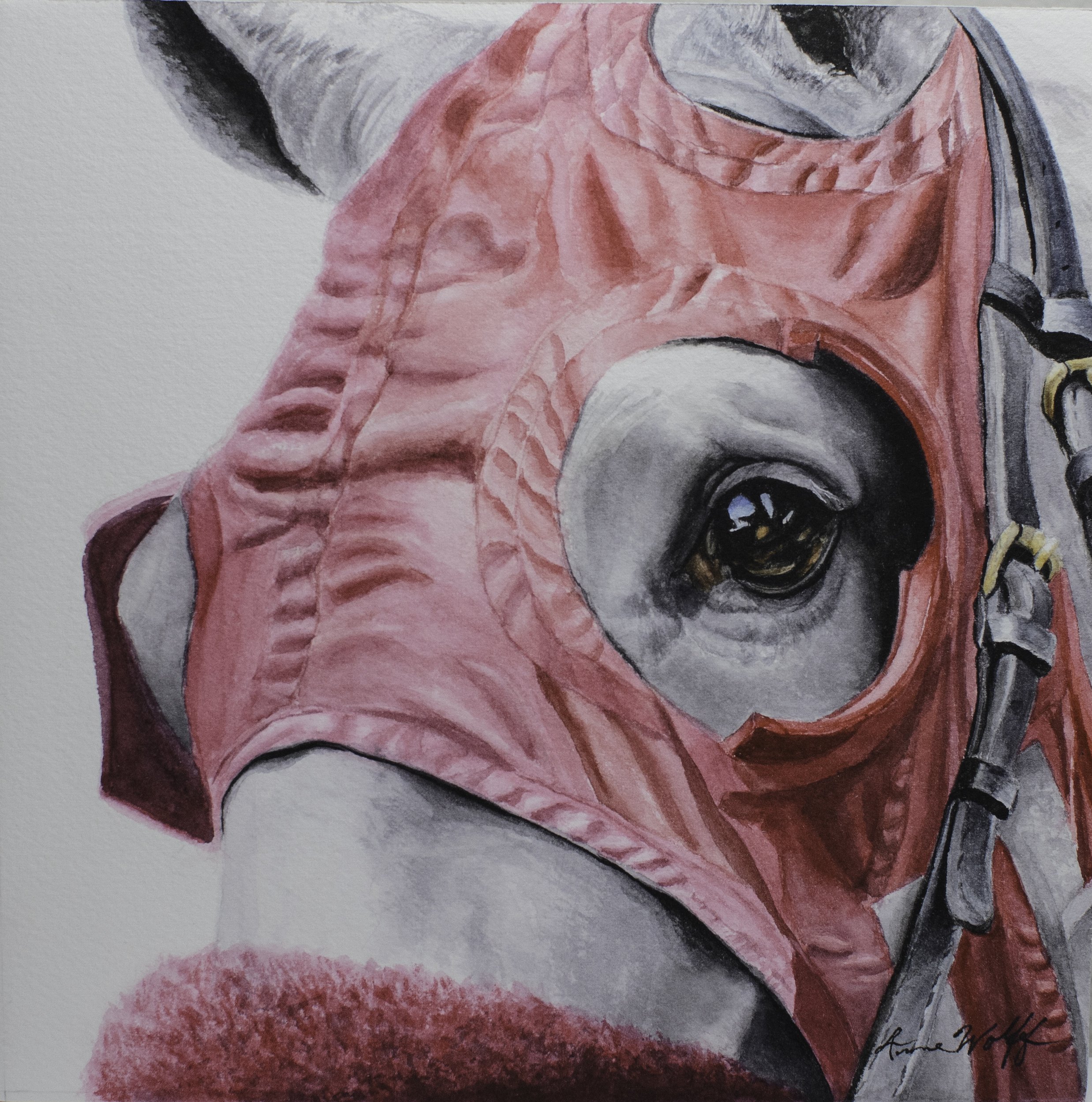 Anne Wolff-Red Blinker.jpg