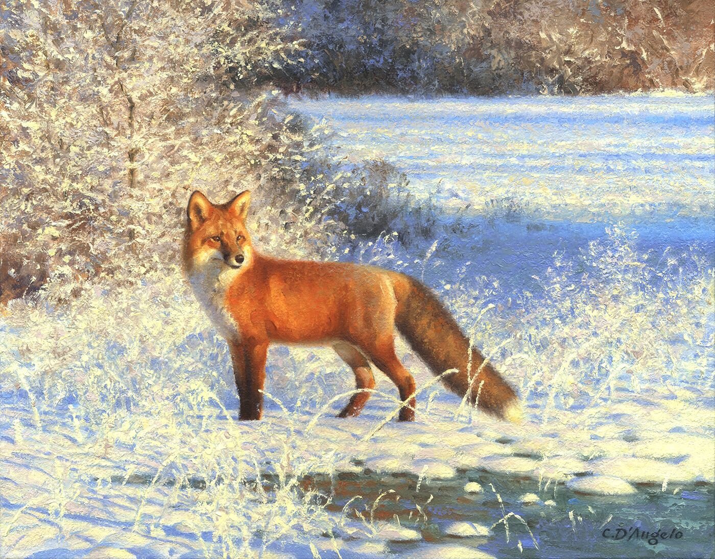Fox in Fresh Snow, 11x14.jpeg