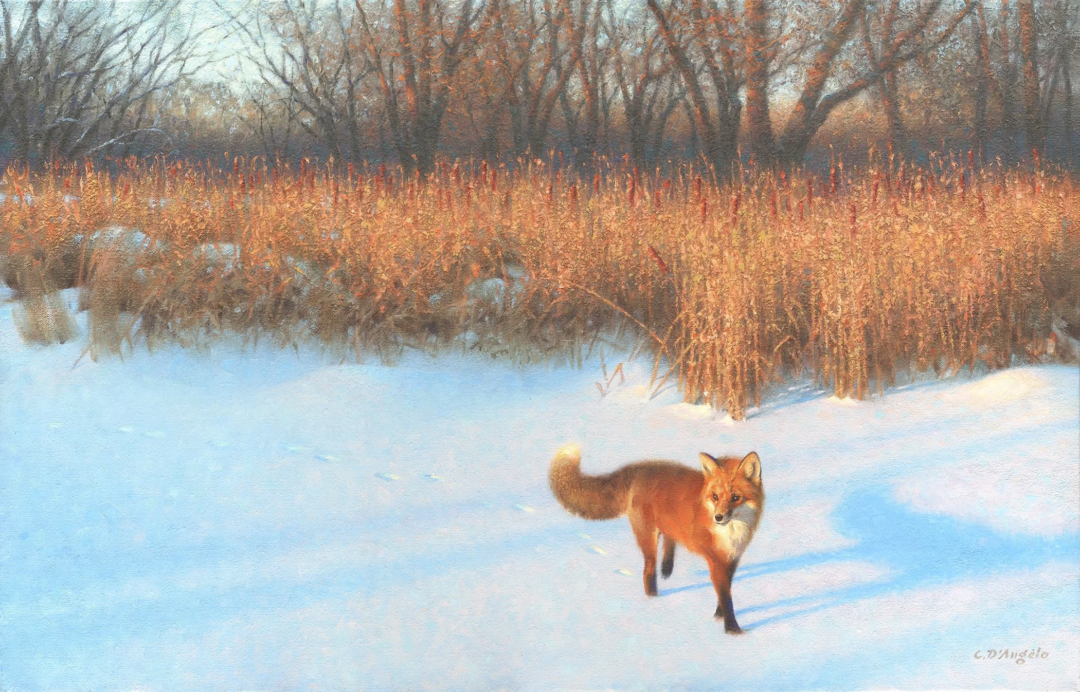 WinterFoxAtSunrise.jpg