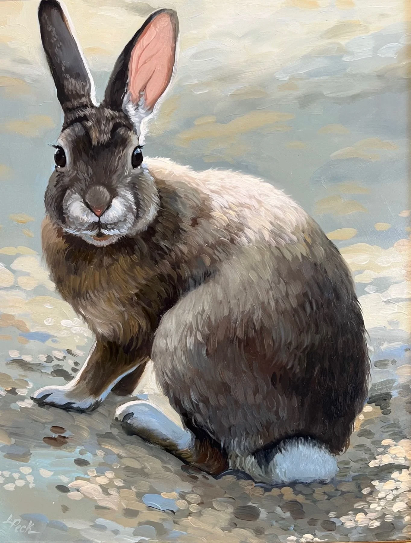 Wild Rabbit, 14x11
