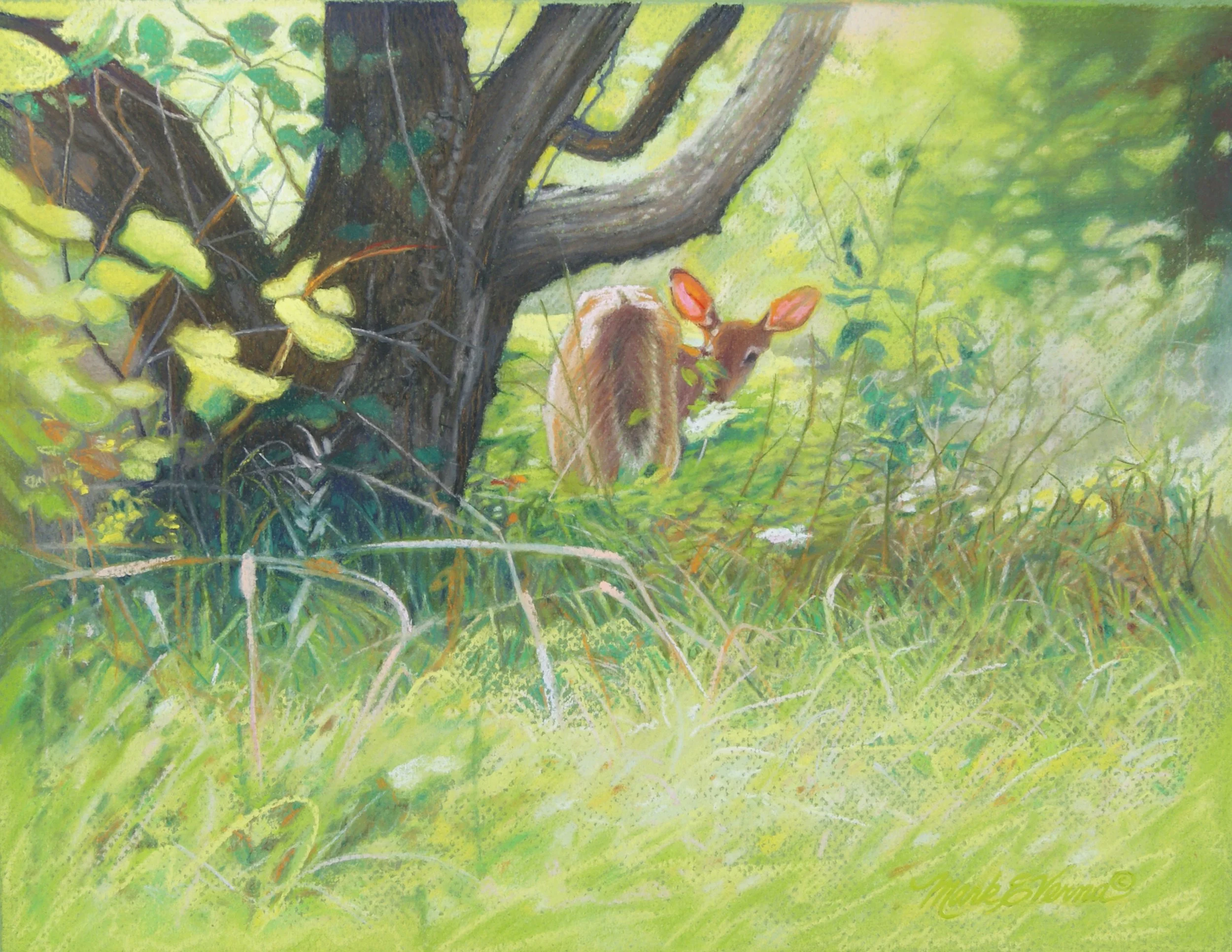 Verna_Mark_+Spring+Sighting_21x18 (3).jpg