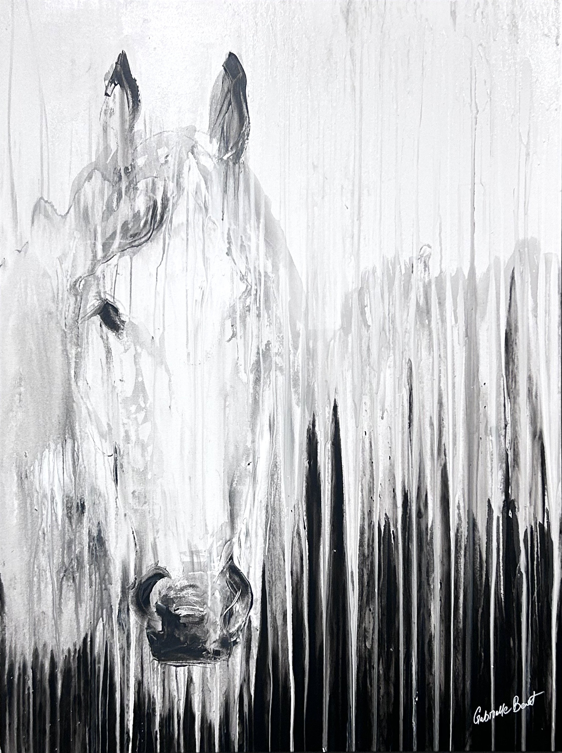 Mare in the Mist, 48x36.jpg