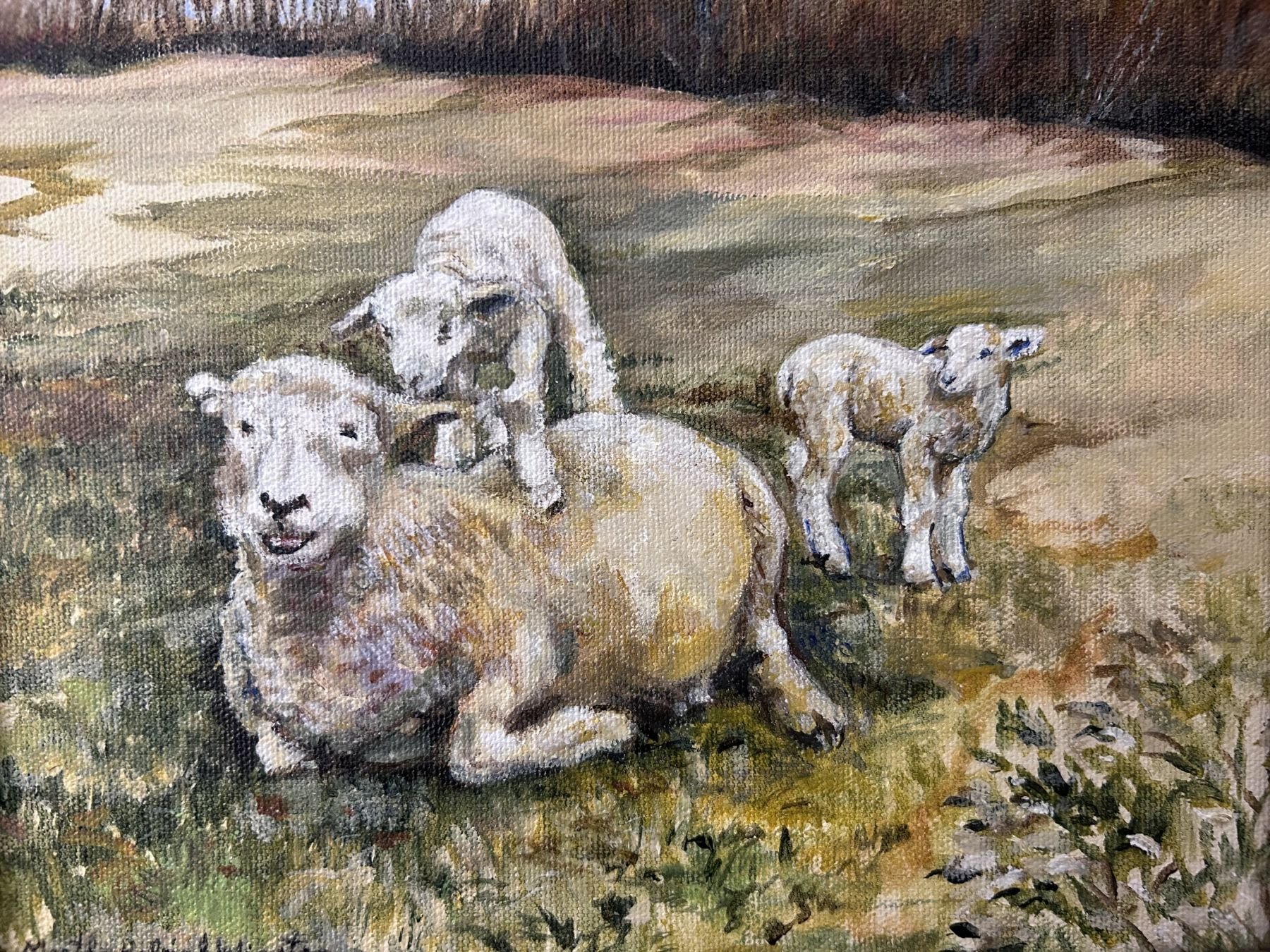 Mother Sheep, 8x10.jpeg