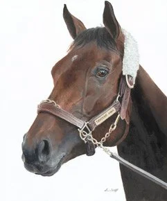 Thorpedo Anna, 24x20