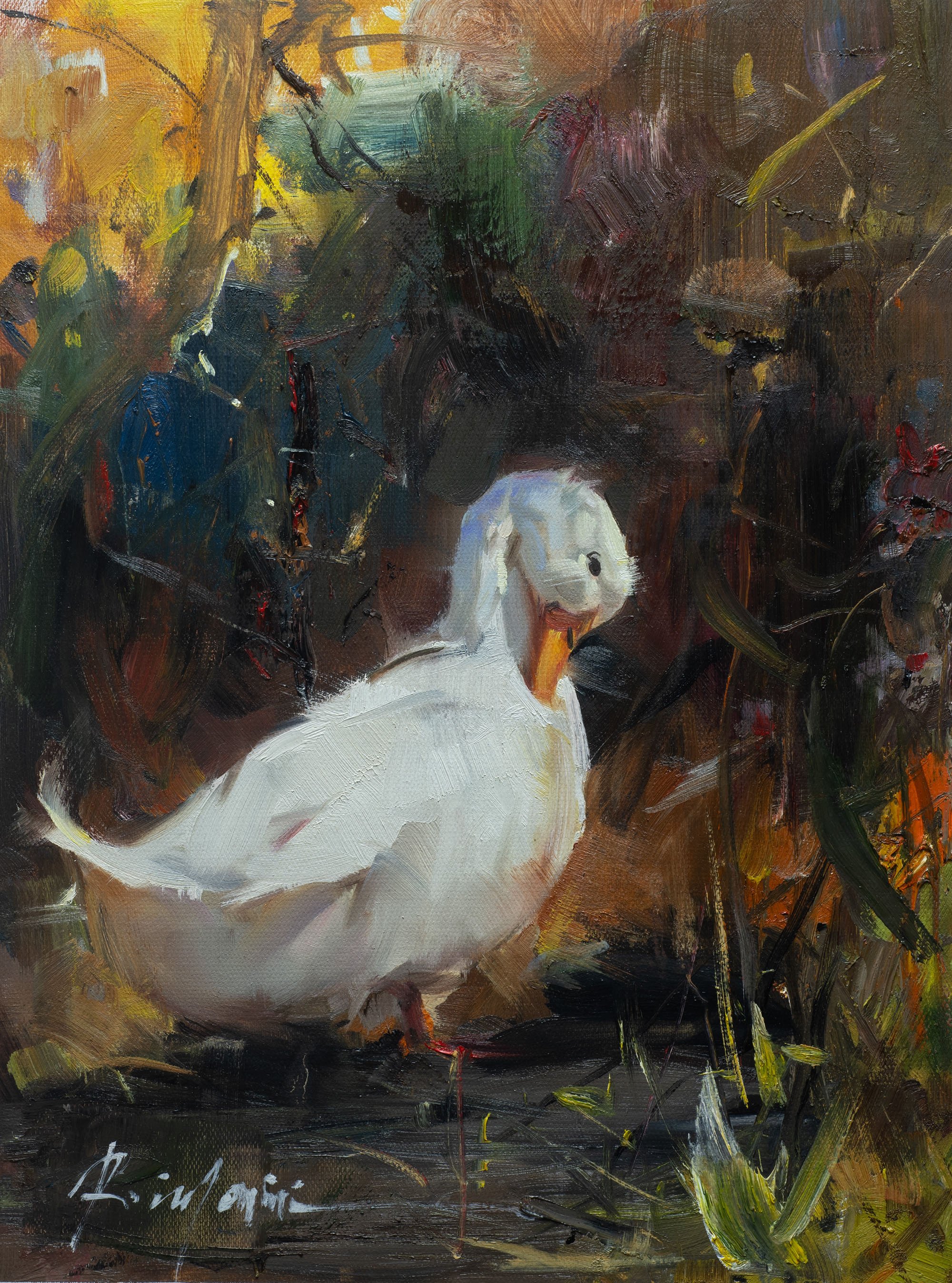 Dorothy, 16x12