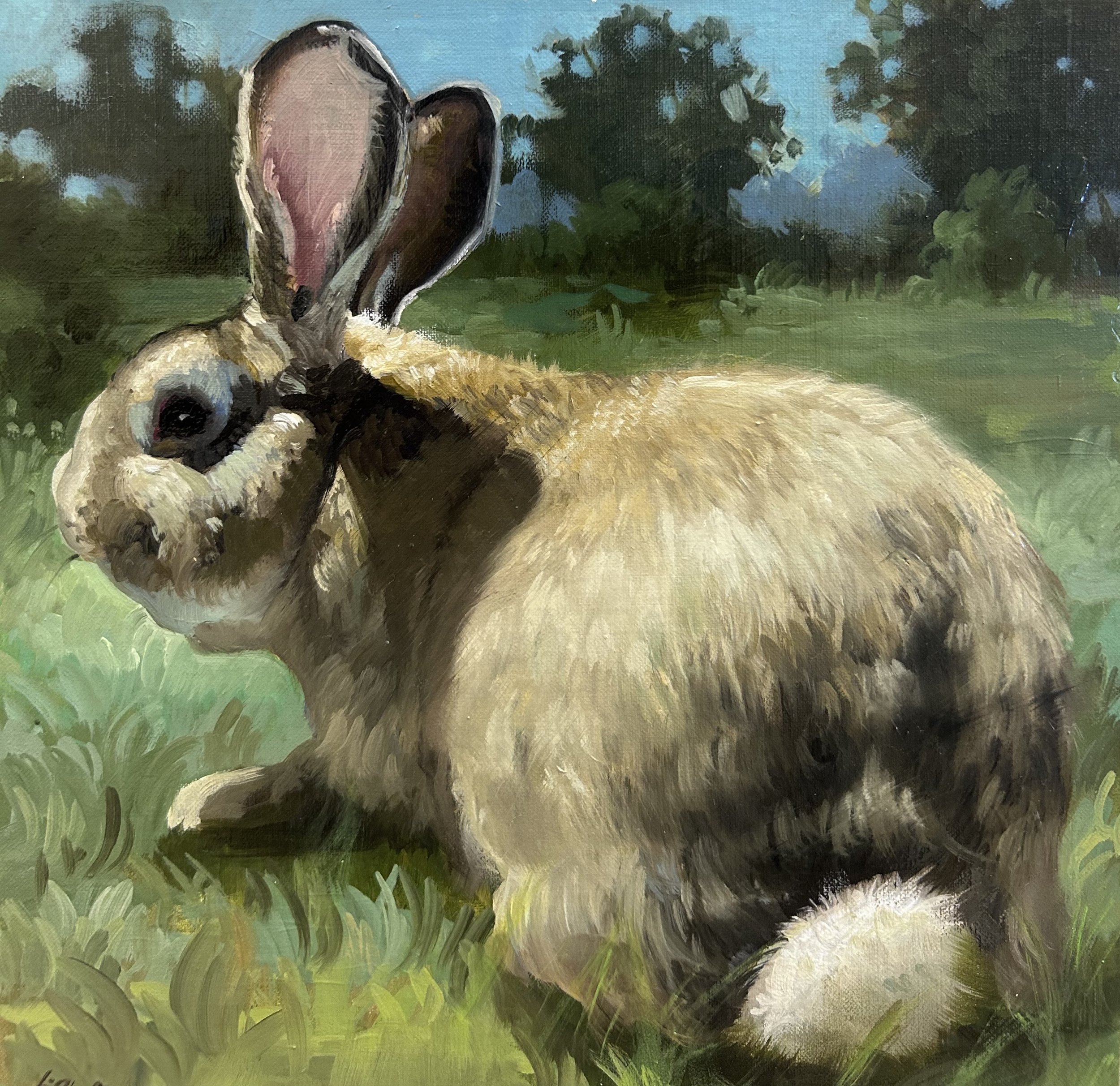 Sunny Bunny, 10x10.jpeg