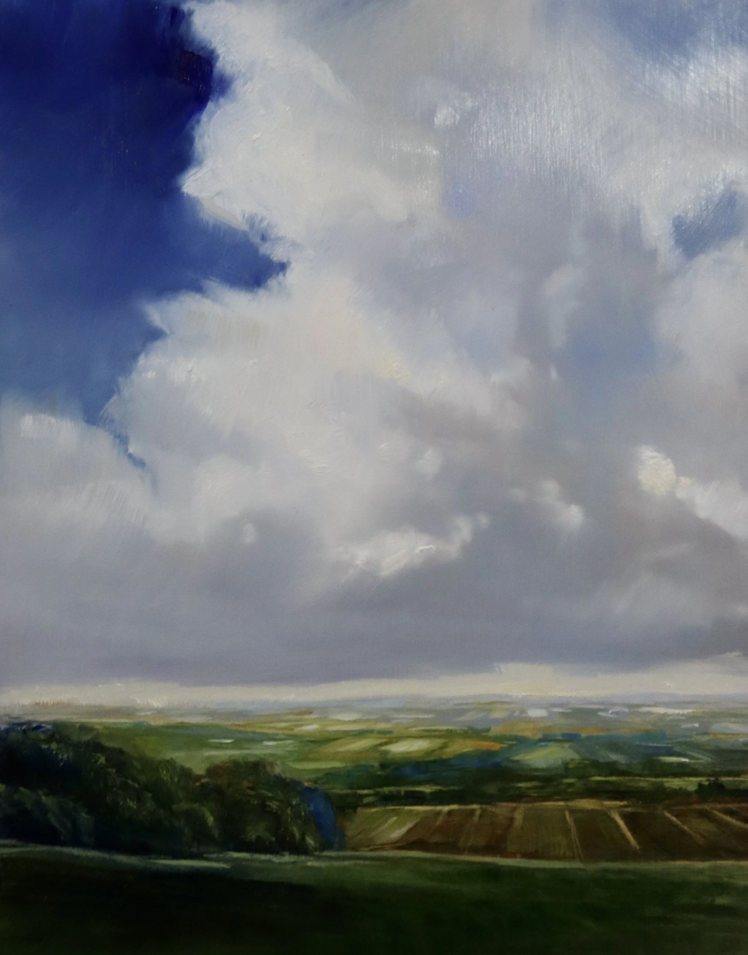 Distant View_9x7_$600 (1).JPG