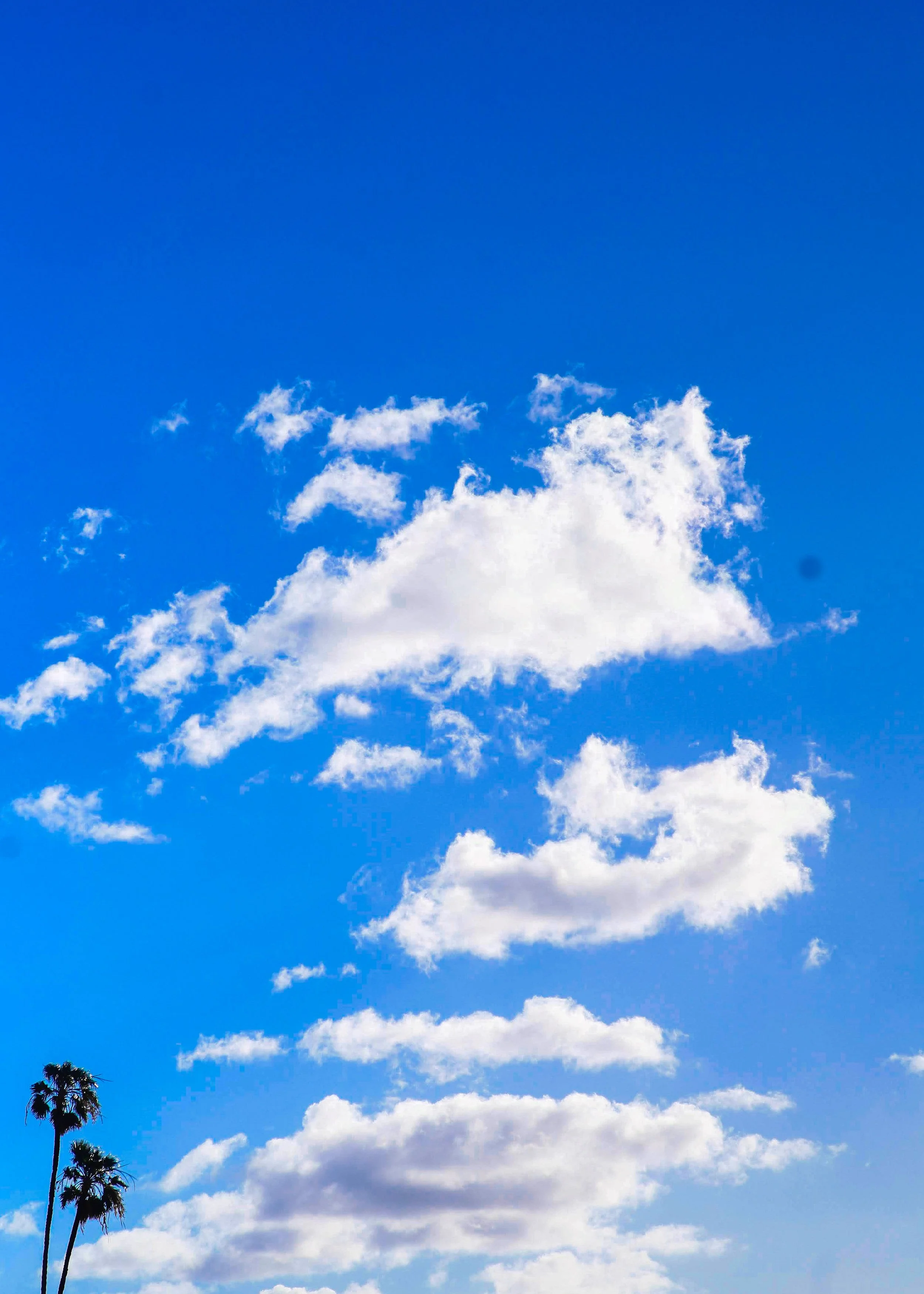 Clear blue sky with scattered white clouds and a few tall palm trees in the lower left corner.