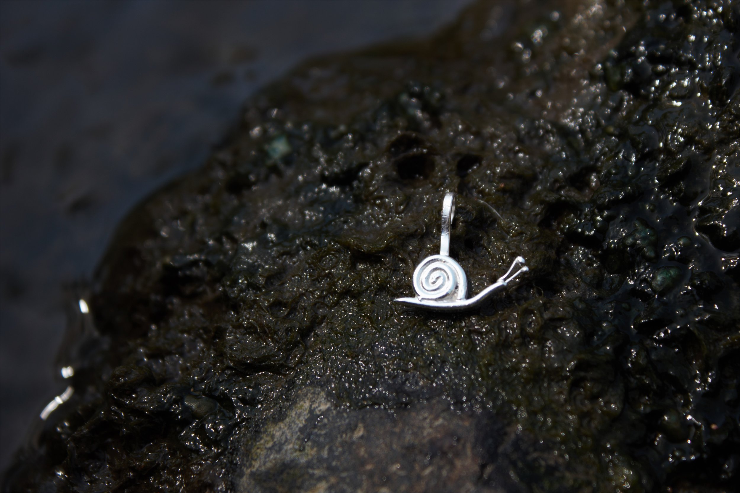 Snail Charm