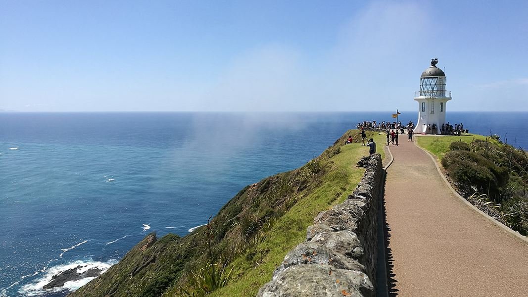 cape-reinga-path-to-lighthouse-hero.jpg