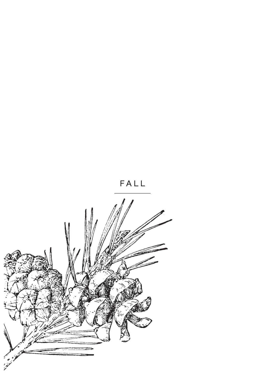 Dashboard fall.png