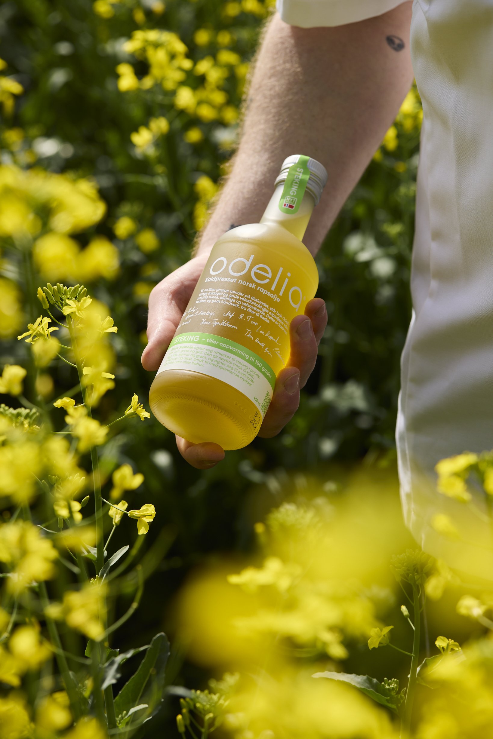 Omega 3- og 6: handler det bare om mengde, eller også om balanse?